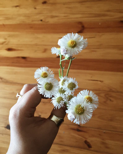Woman’s hand adorned with various semijoias rings, gently holding a small bouquet of flowers