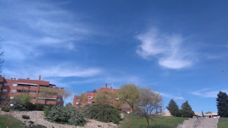 Rows of red-brick apartment buildings are seen against a bright blue sky with scattered white clouds. In the foreground, there are several trees and well-maintained shrubs, along with a grassy area with stone landscaping and a set of stairs leading up a hill.