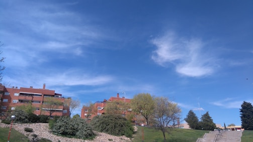 Rows of red-brick apartment buildings are seen against a bright blue sky with scattered white clouds. In the foreground, there are several trees and well-maintained shrubs, along with a grassy area with stone landscaping and a set of stairs leading up a hill.
