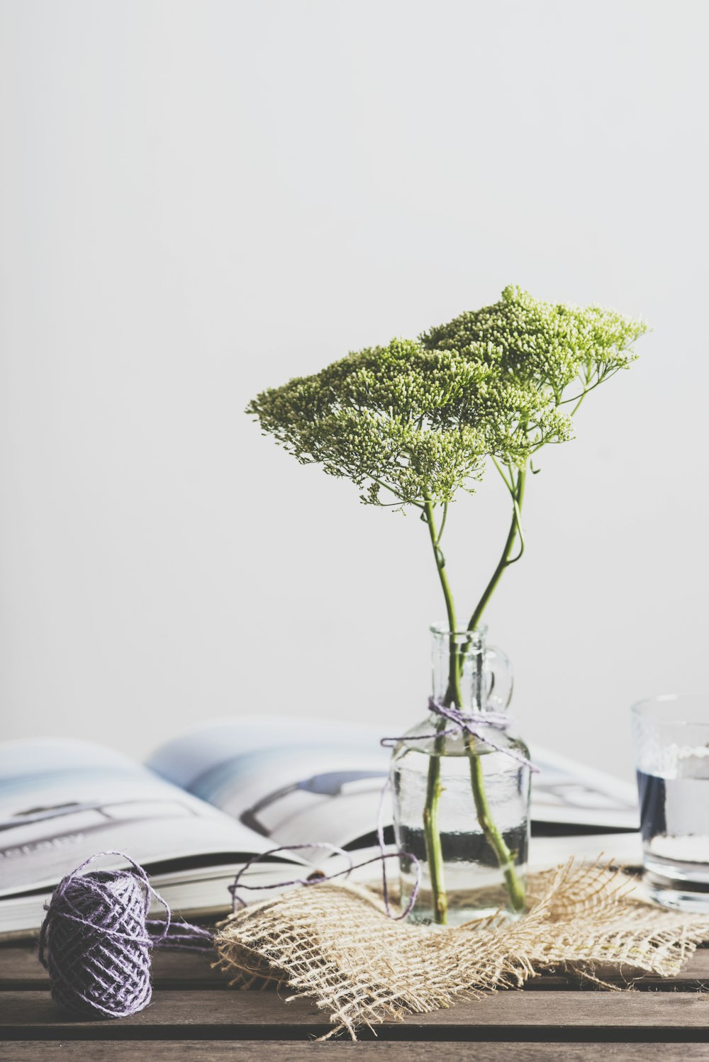 planta de folhas verdes no vaso de vidro