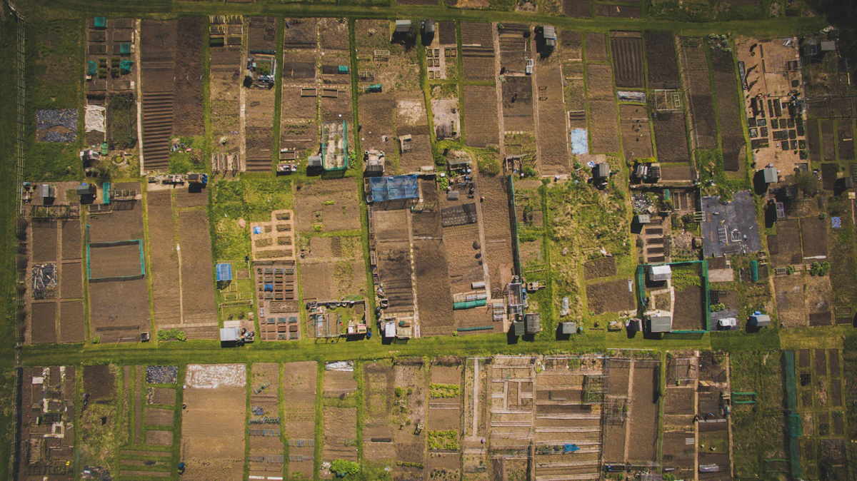 Surveyed land plots ready for sale