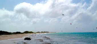A serene beach scene with clear turquoise waters and a sandy shore. Several colorful kites are visible in the sky, likely from kite surfers on the ocean. The horizon shows a mix of vibrant blue skies and fluffy white clouds.
