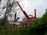 Large red steel beams form an abstract structure amidst a green, leafy environment. A construction crane and a distinctive building with an ornate roof are visible in the background.