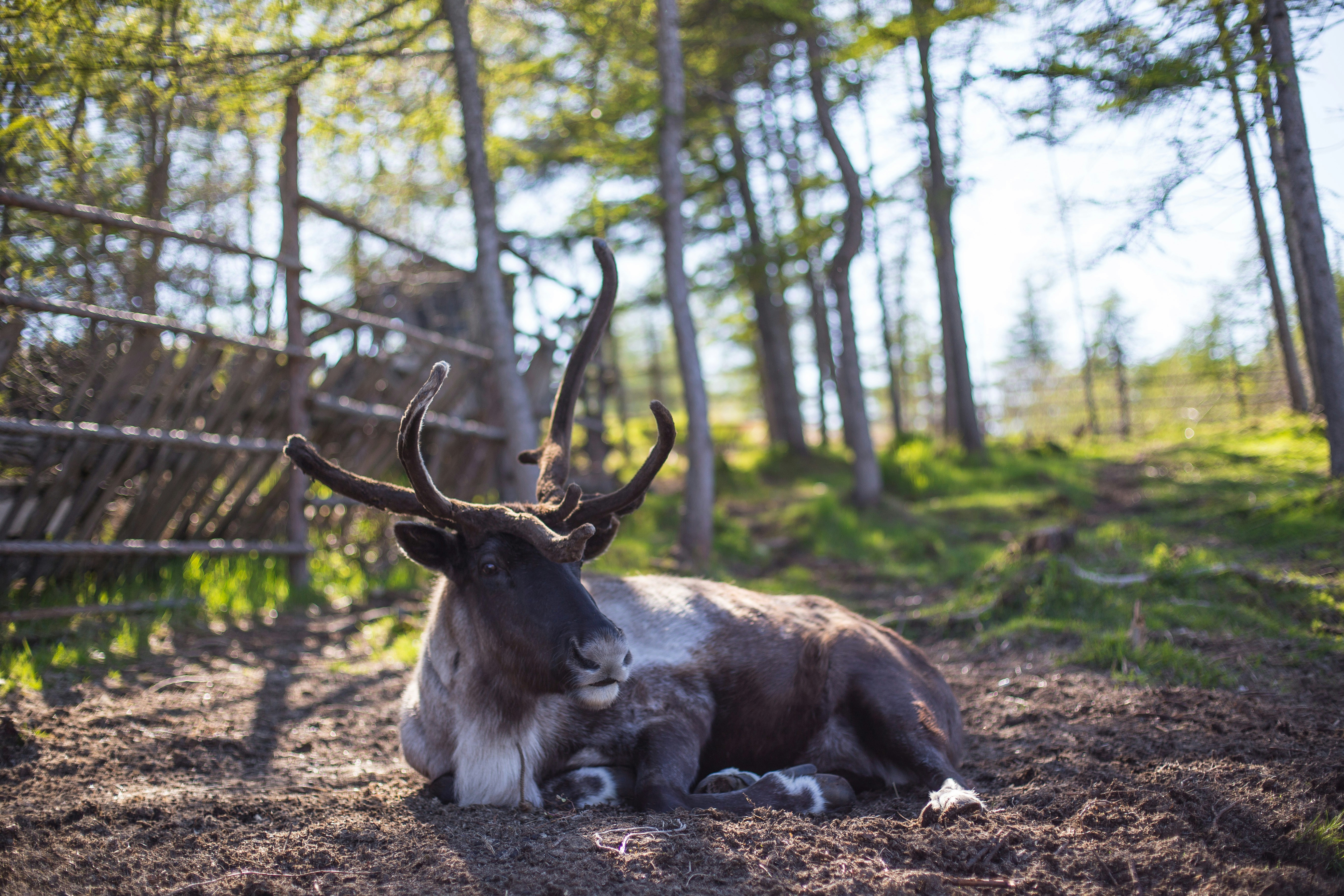 Free Unsplash photo from Artem Kovalev