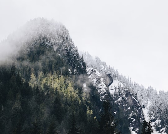 photo of North Vancouver Forest near Wreck Beach