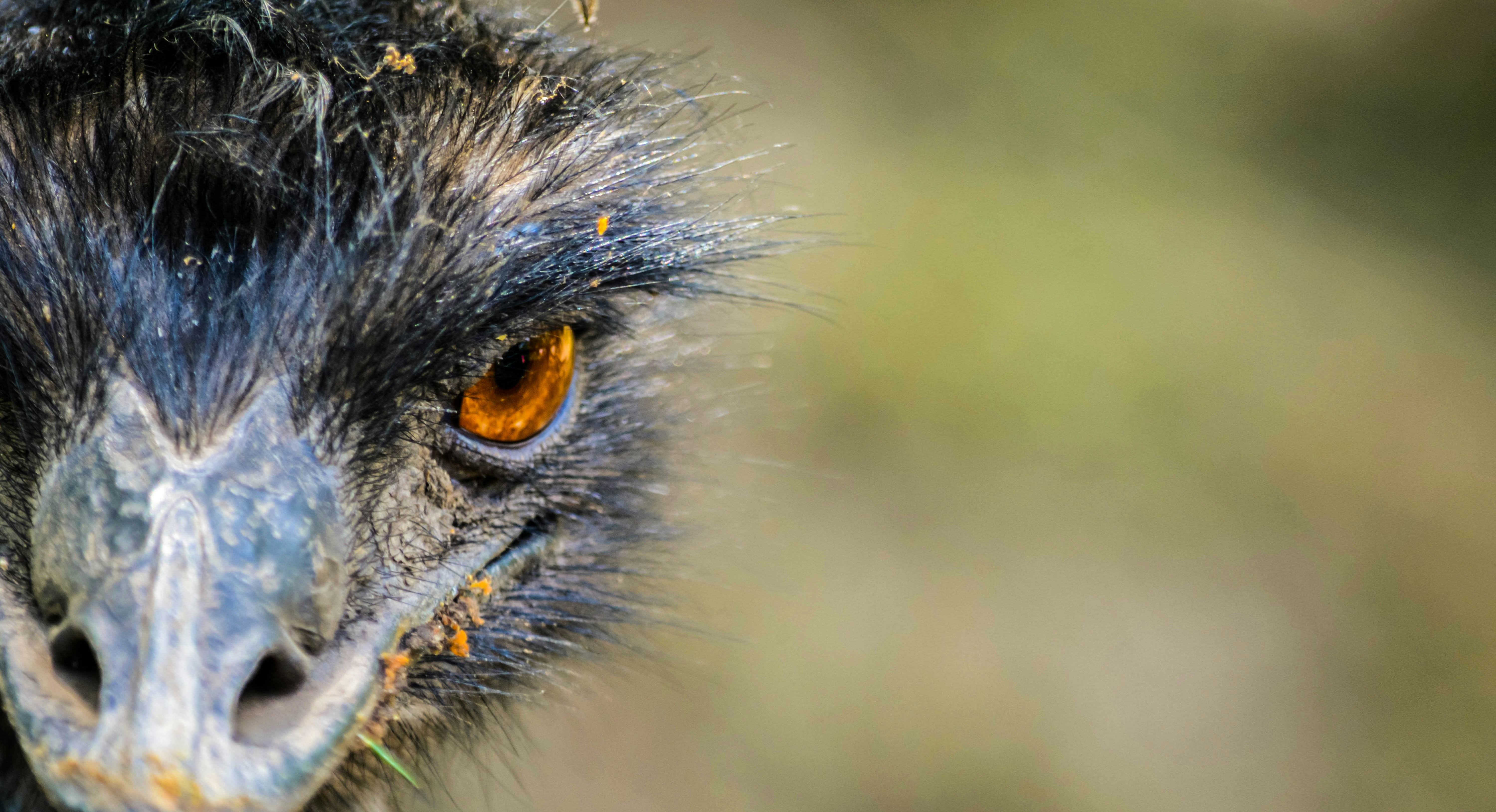 Free Unsplash photo from Maxim Smith