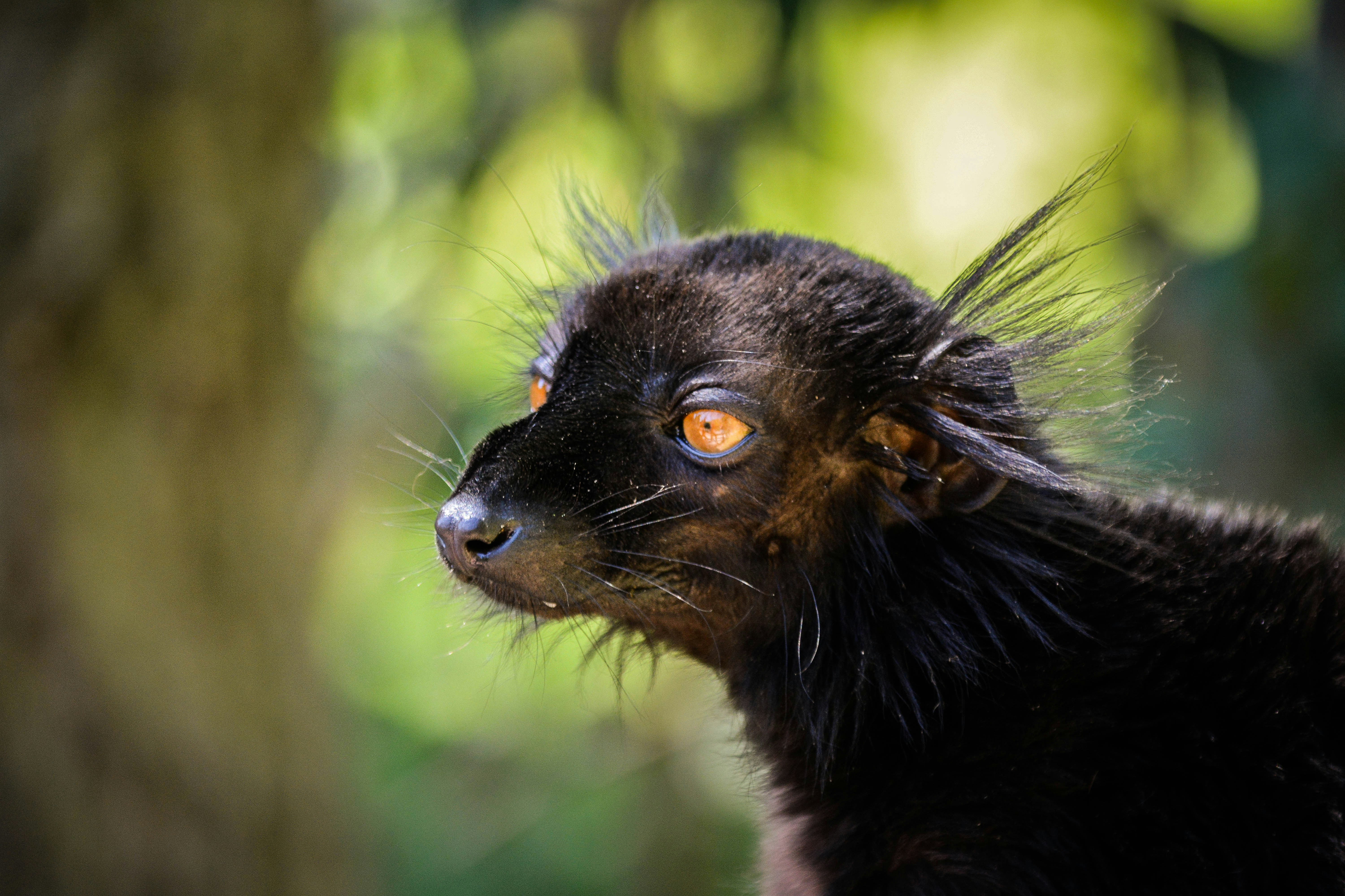 Free Unsplash photo from Maxim Smith