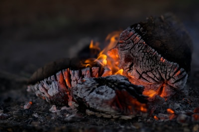 close photography of burning wood