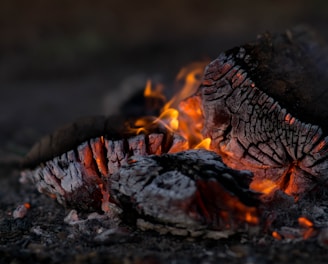 close photography of burning wood