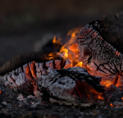 close photography of burning wood