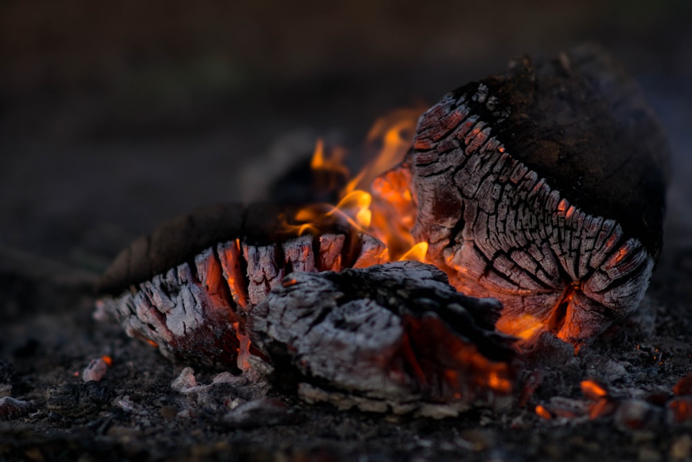 Photographie de près de bois en combustion