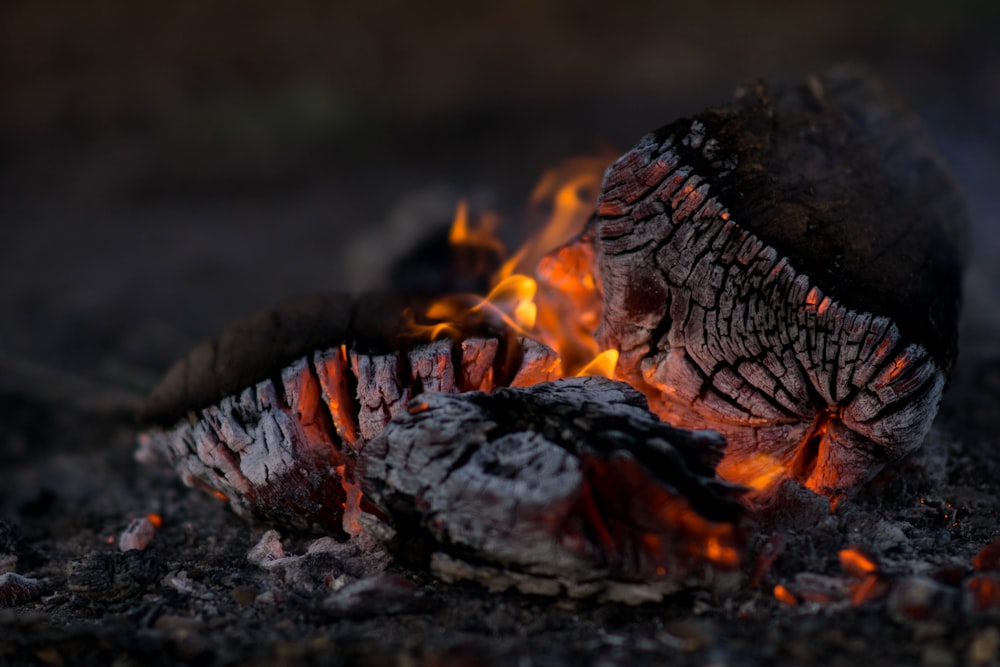 燃える薪のクローズアップ写真