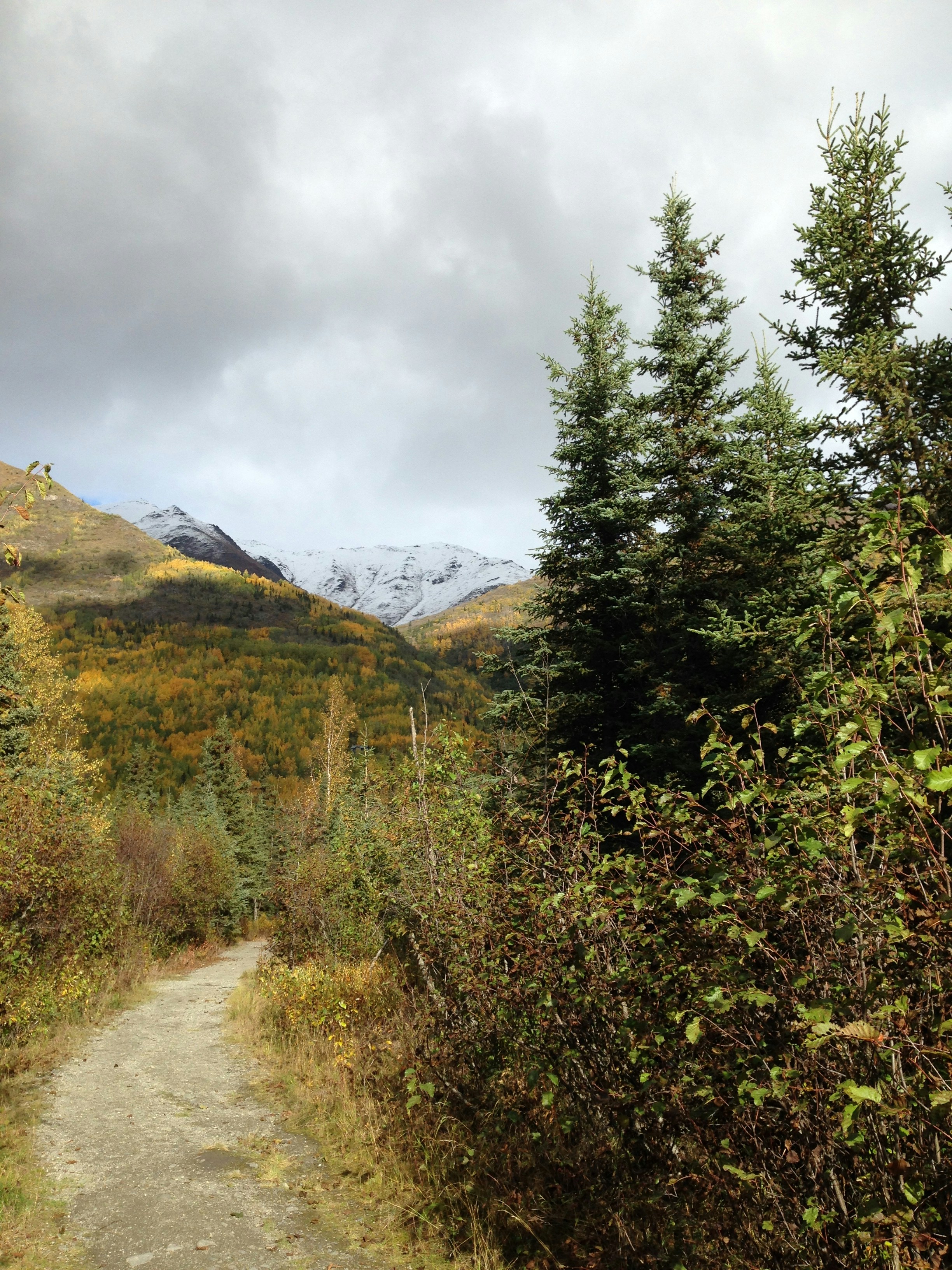 Free Unsplash photo from Eugene Harnett