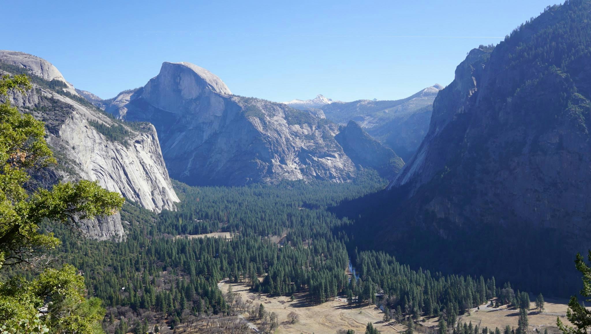 Free Unsplash photo from Philippe Maes