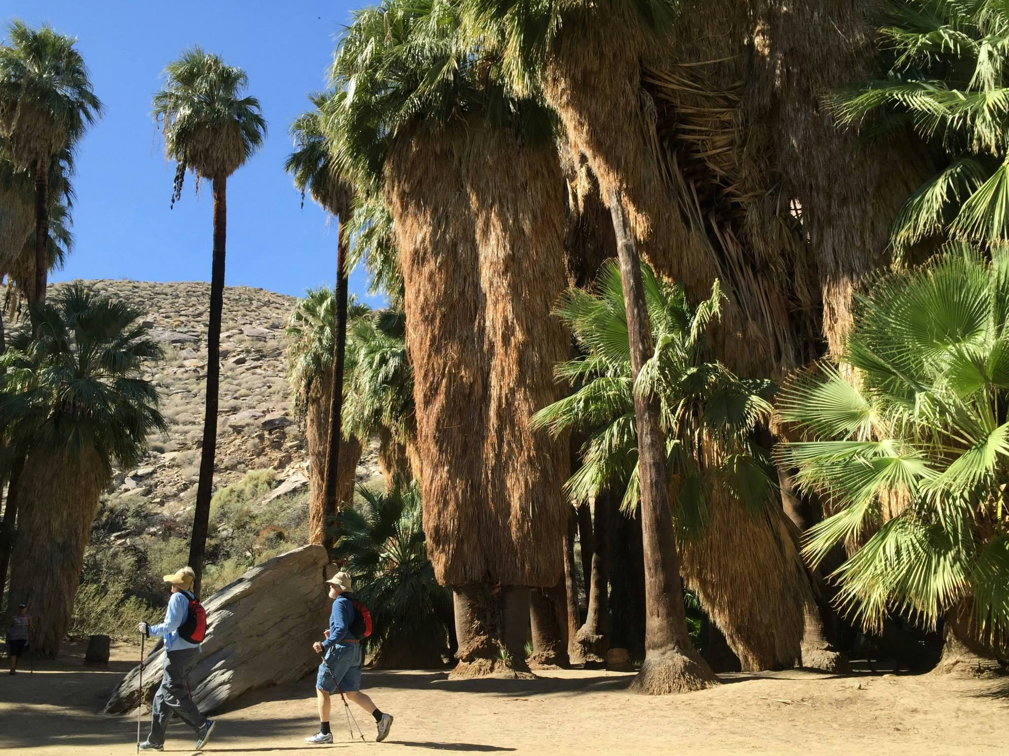 Free Unsplash photo from Philippe Maes