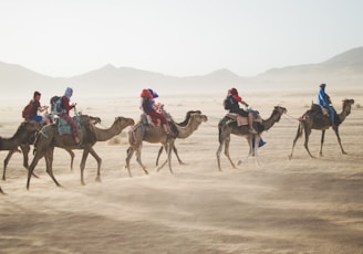 group of people riding camel on sand dune