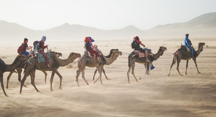 group of people riding camel on sand dune