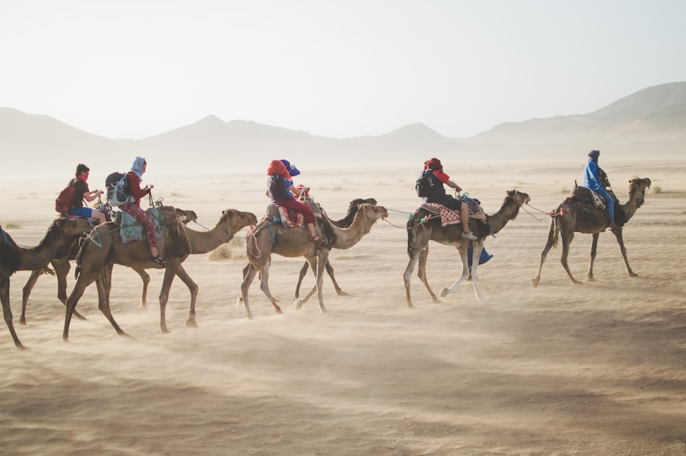 group of people riding camel on sand dune