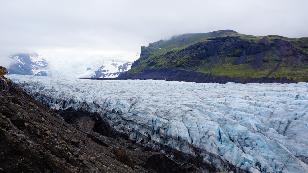 Glacier Bay, Alaska