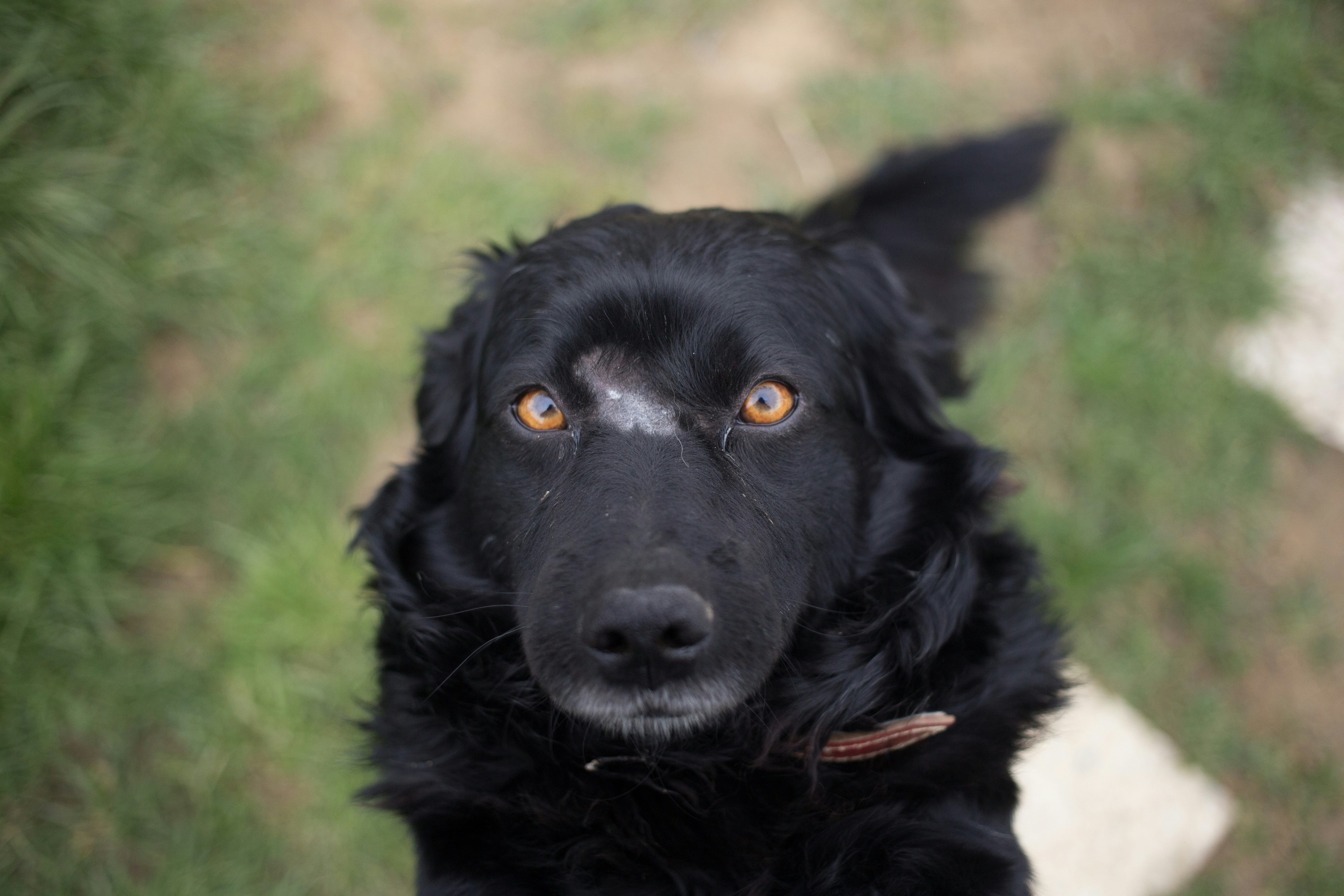 Free Unsplash photo from Cosmin Bilan