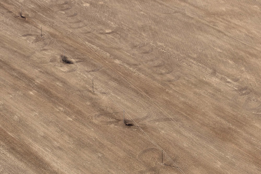 aerial photo of brown field with electric line