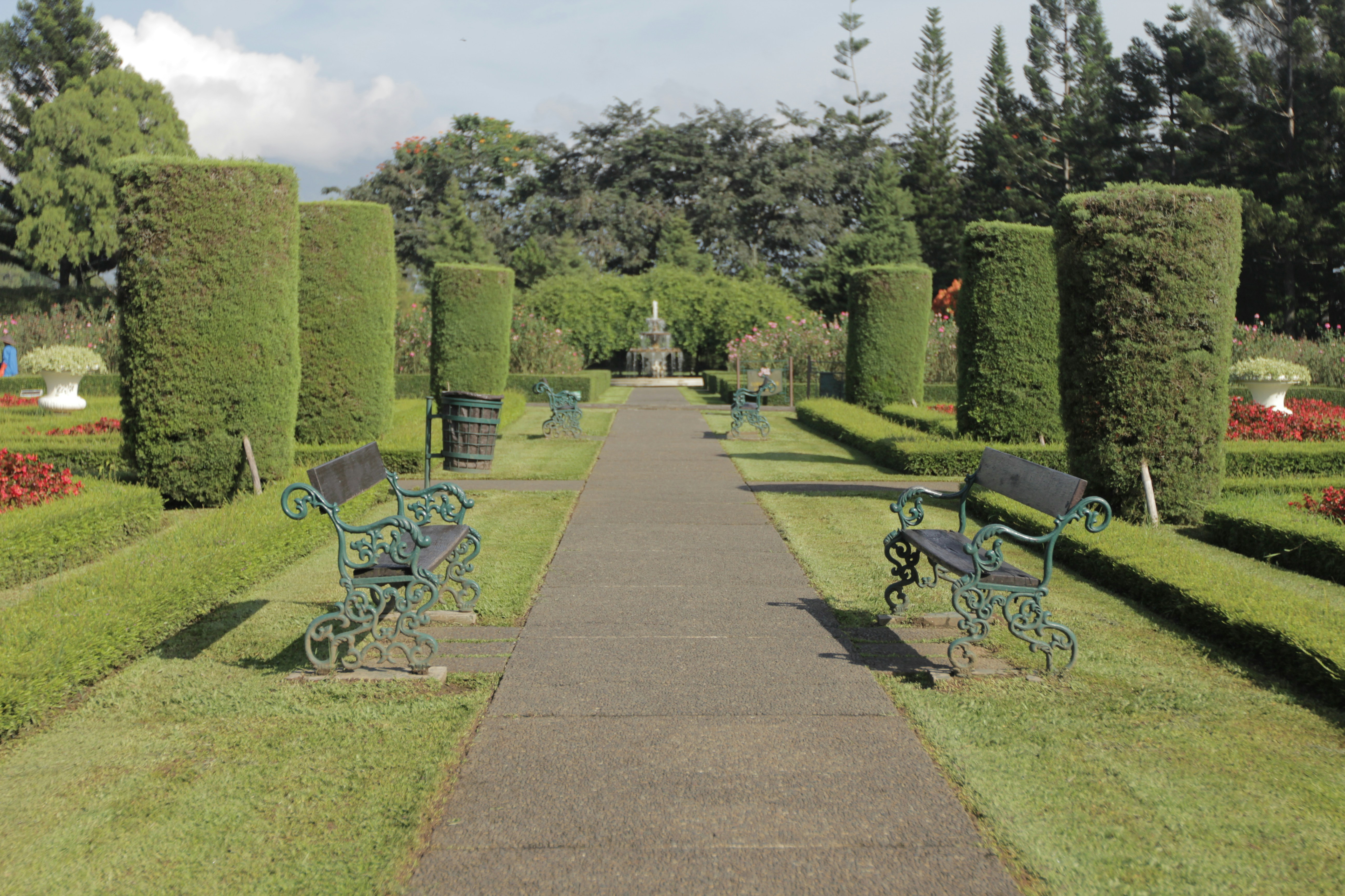 Free Unsplash photo from Dodo Ford