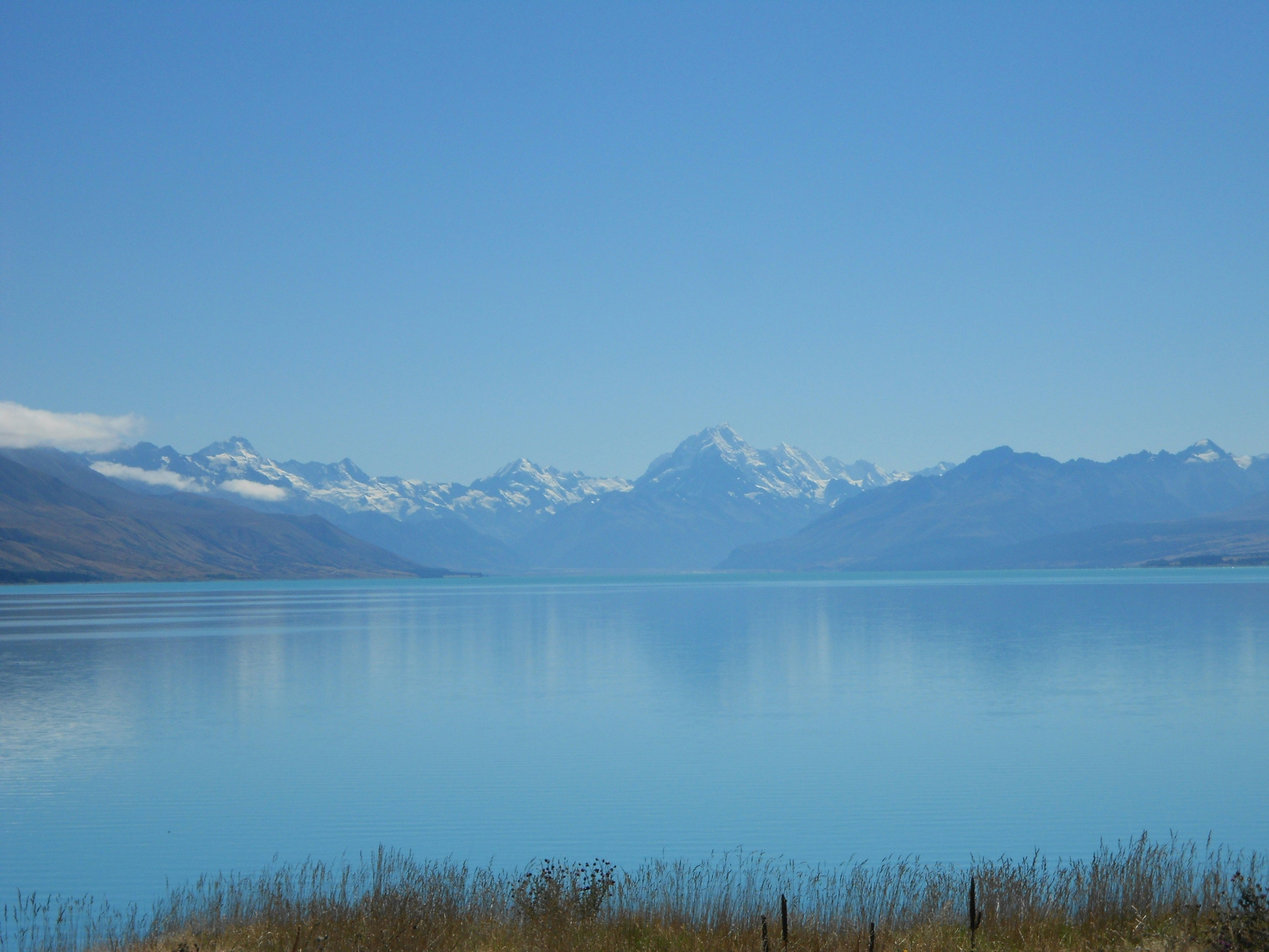 Free Unsplash photo from Alistair Kenyon-Brodie