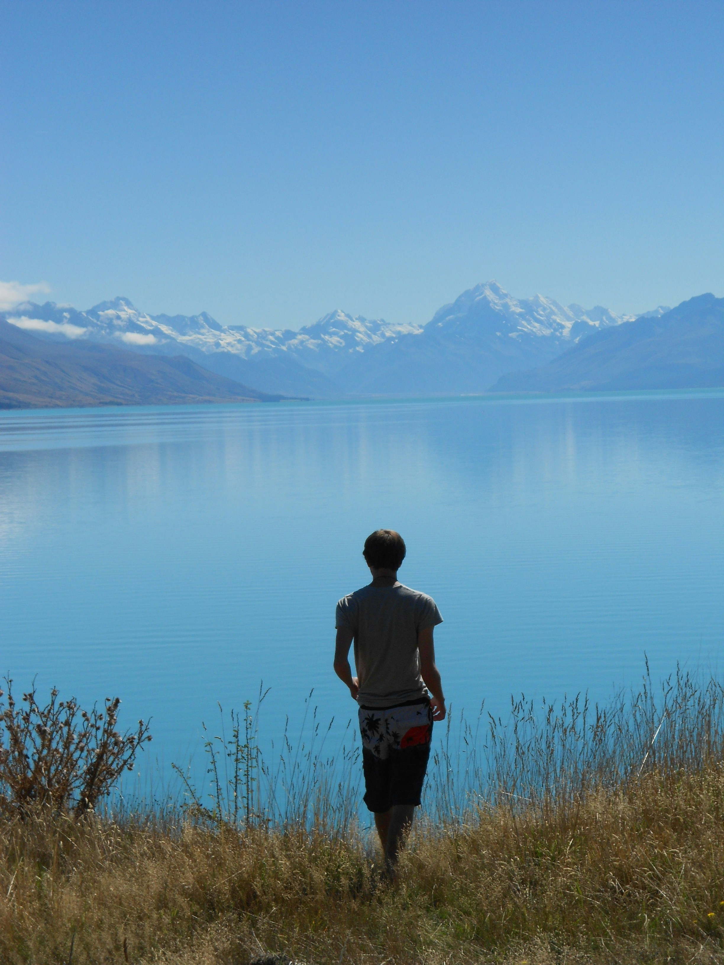 Free Unsplash photo from Alistair Kenyon-Brodie