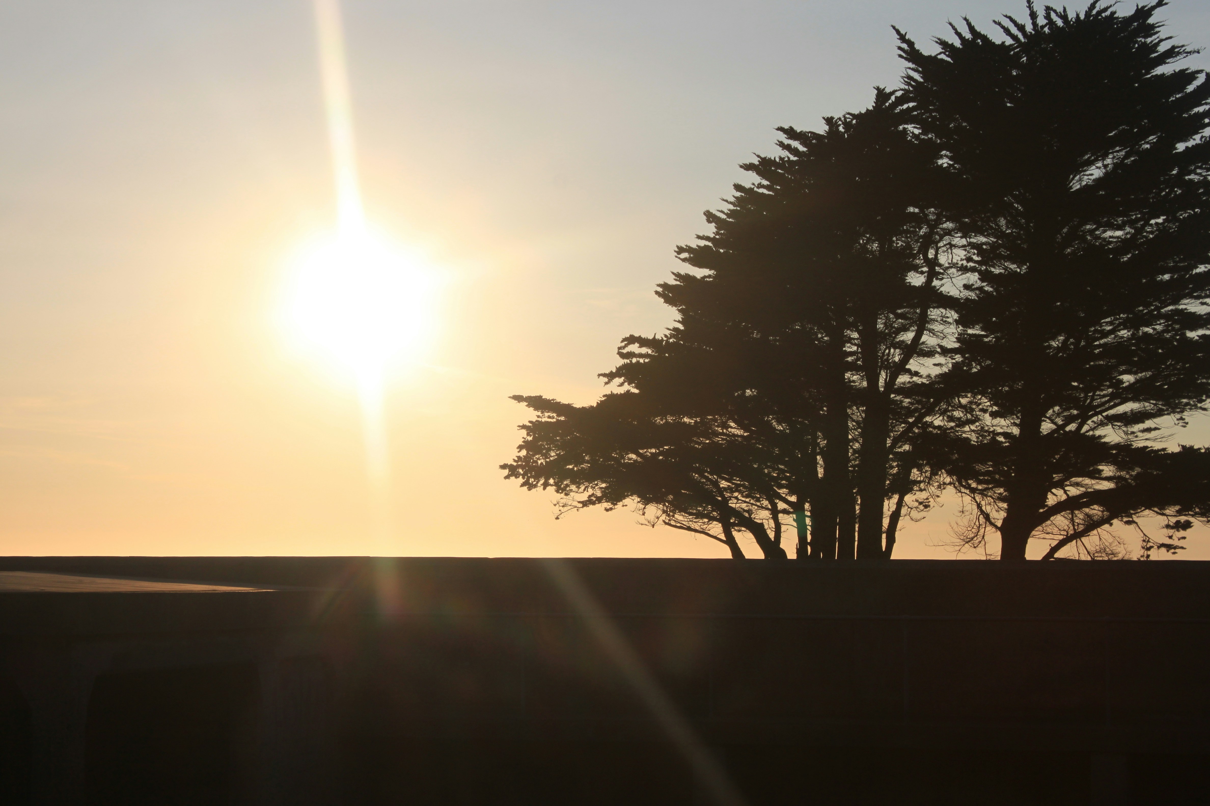 Free Unsplash photo from Alex Sinnott