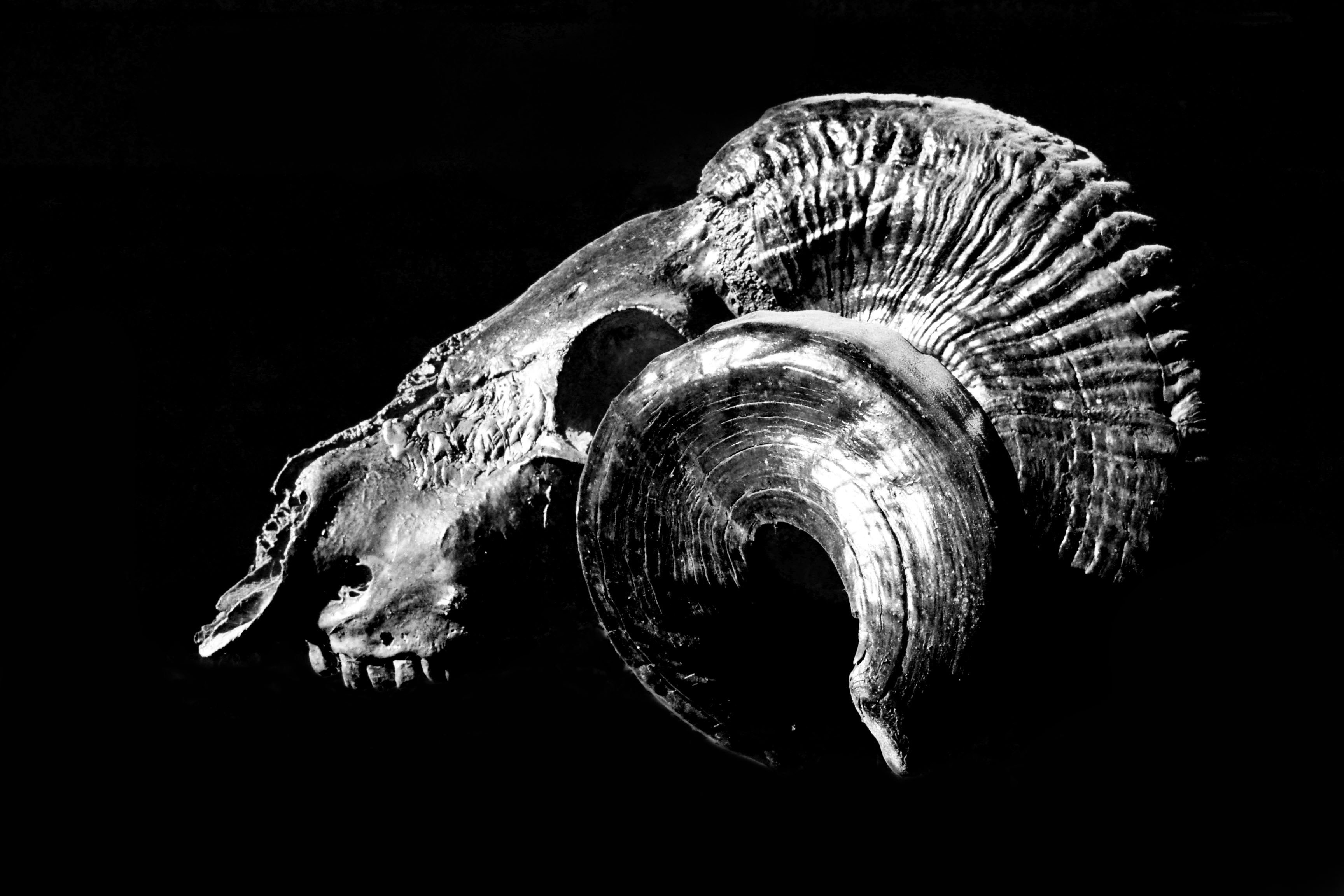 Free Unsplash photo from Nicolás Martin Barroso