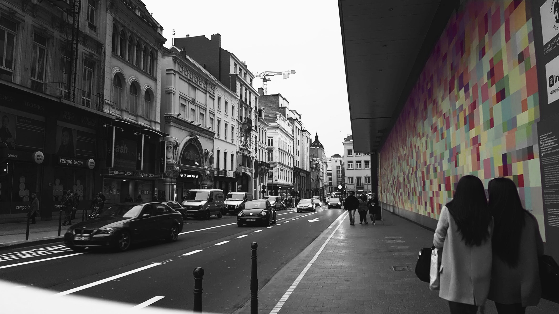 Free Unsplash photo from Davidia Zhao