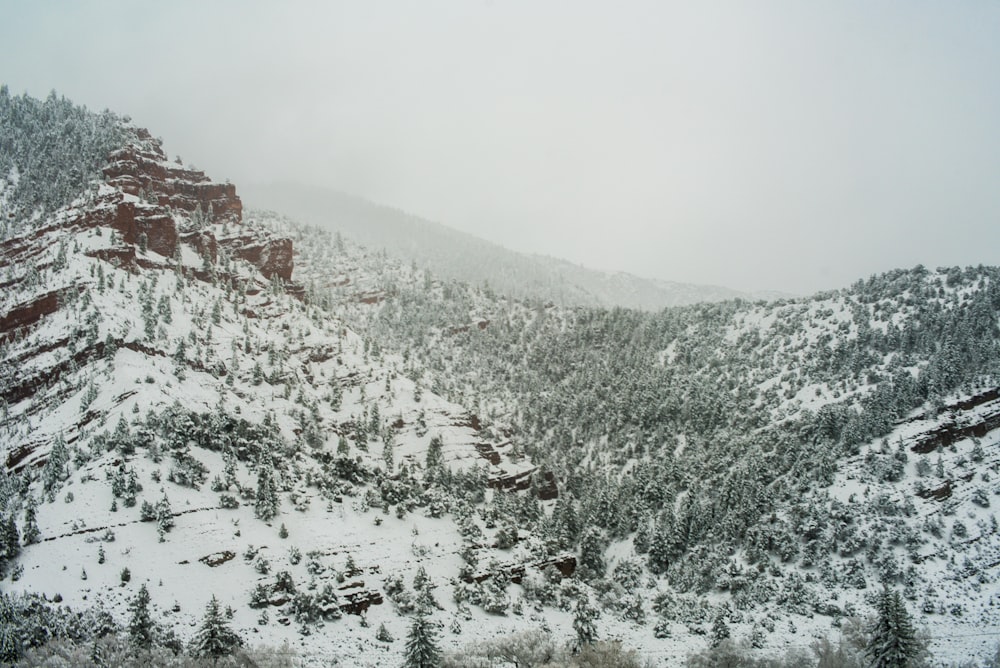 Foto di paesaggio della montagna di neve durante il giorno