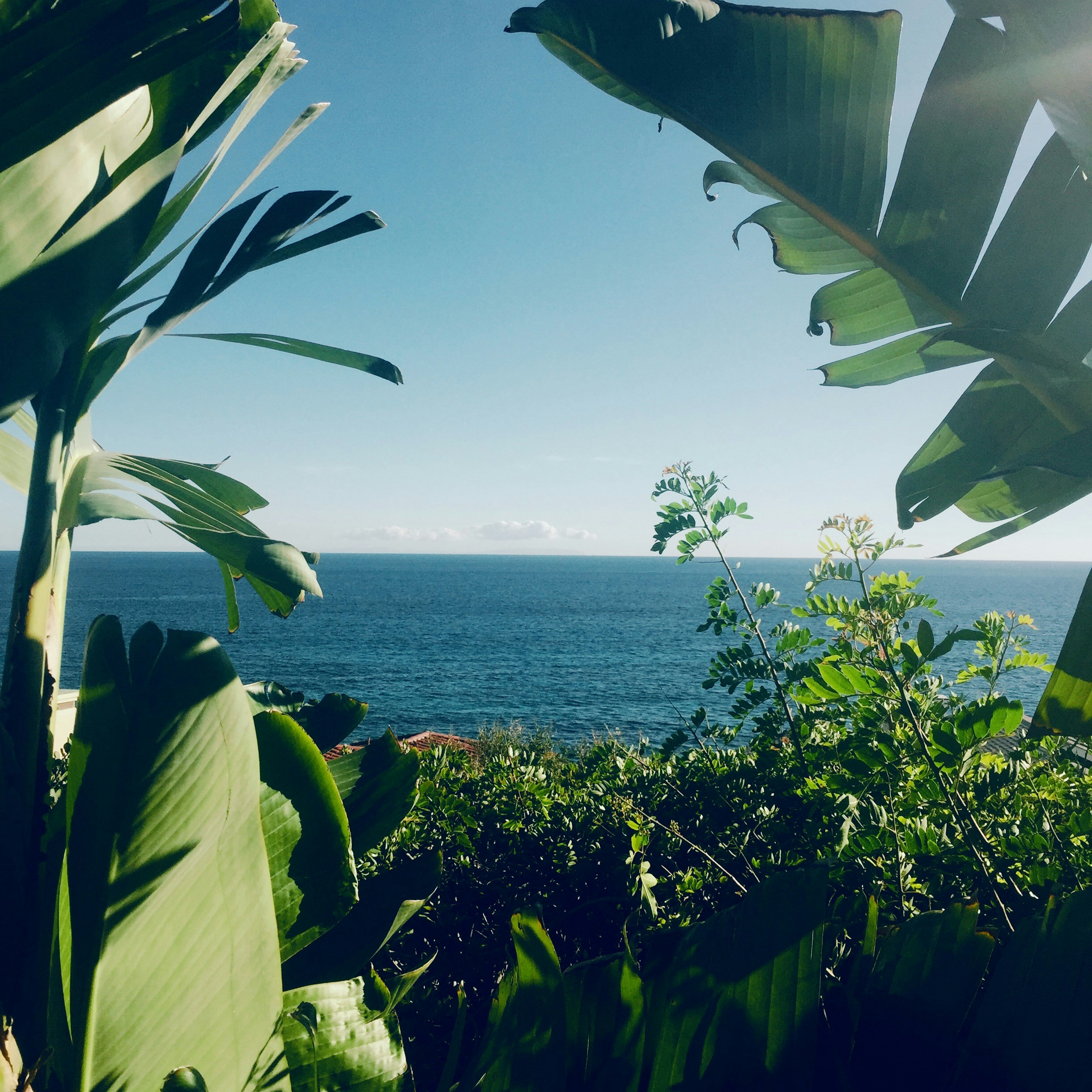 Free Unsplash photo from Mat Weller