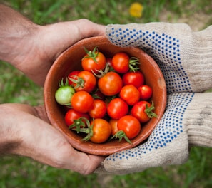 bowl of tomatoes served on person hand