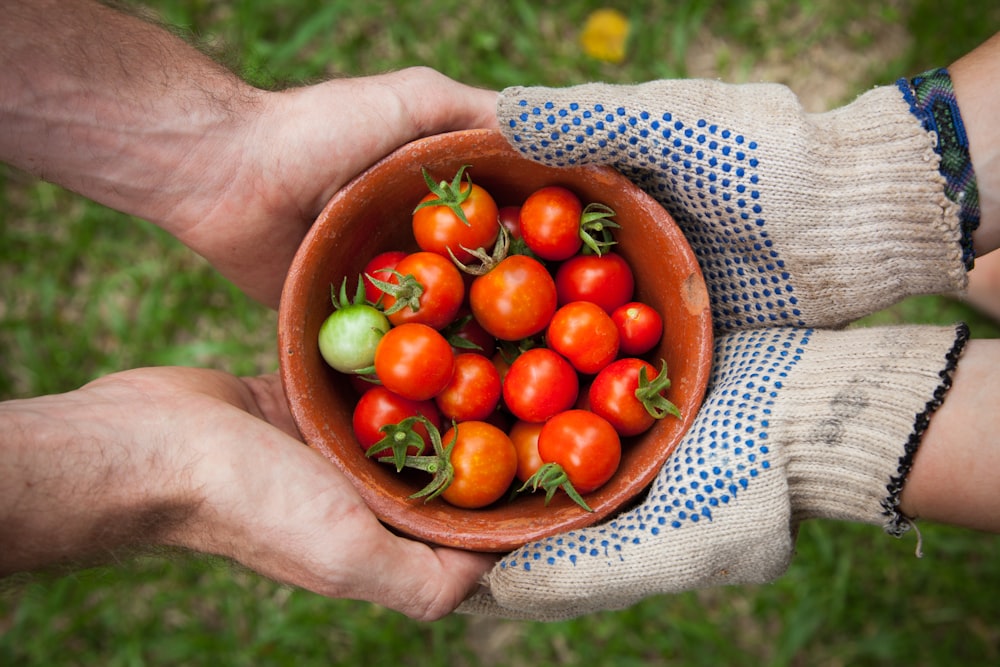 One person wearing gloves and another person holding a bowl of red cherry tomatoes
