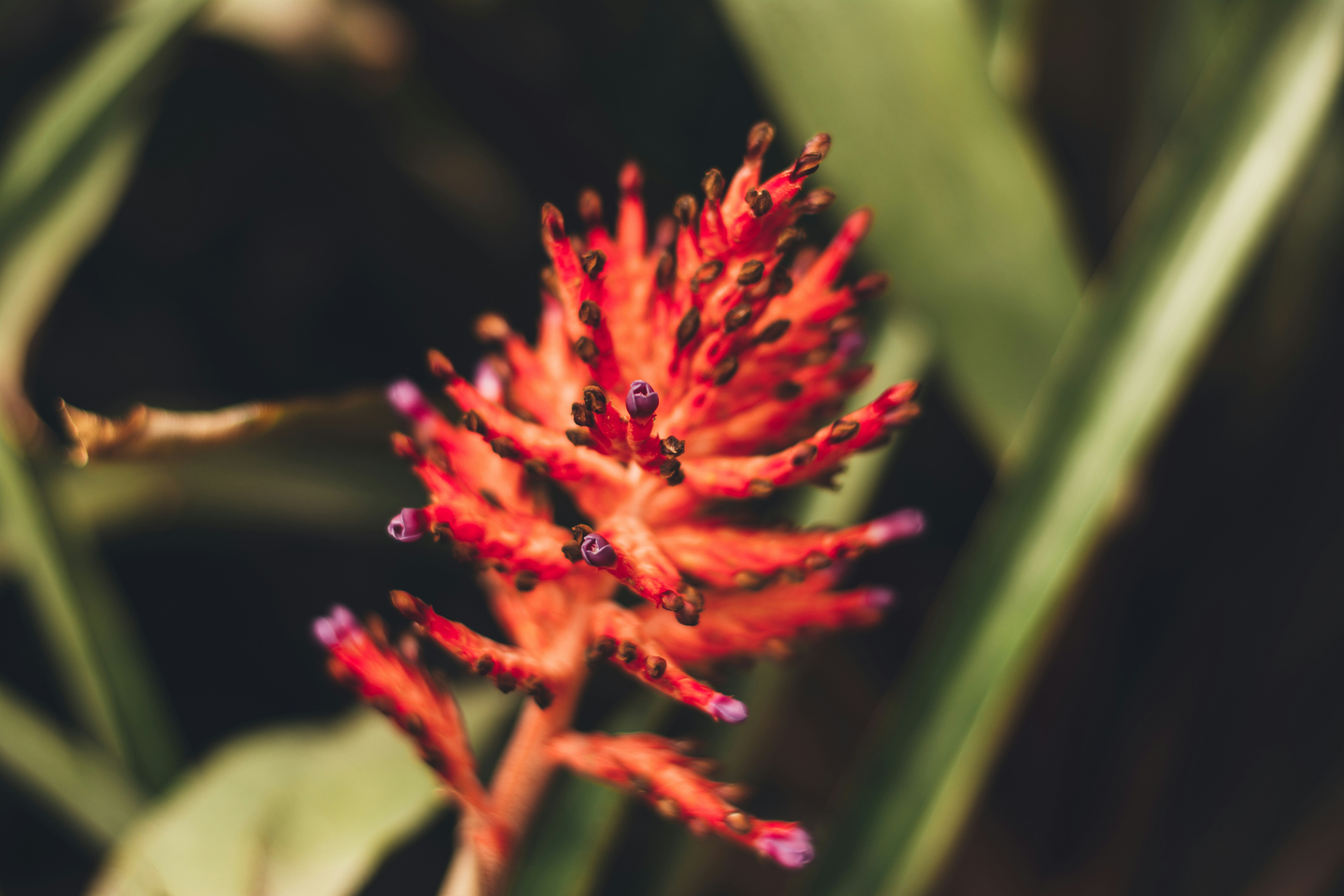 Free Unsplash photo from Tomáš Vestenický