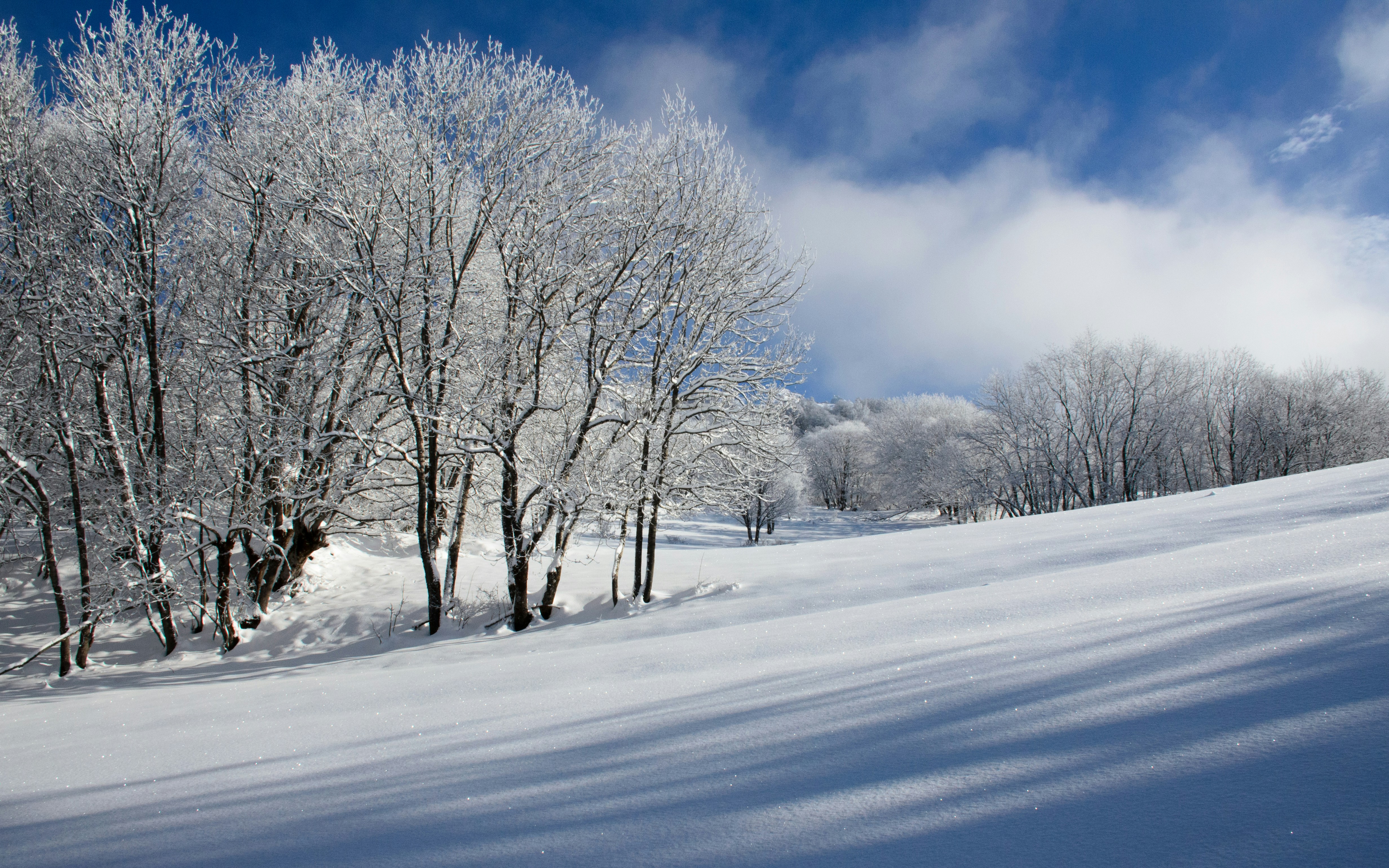 Free Unsplash photo from Antoine Lizée