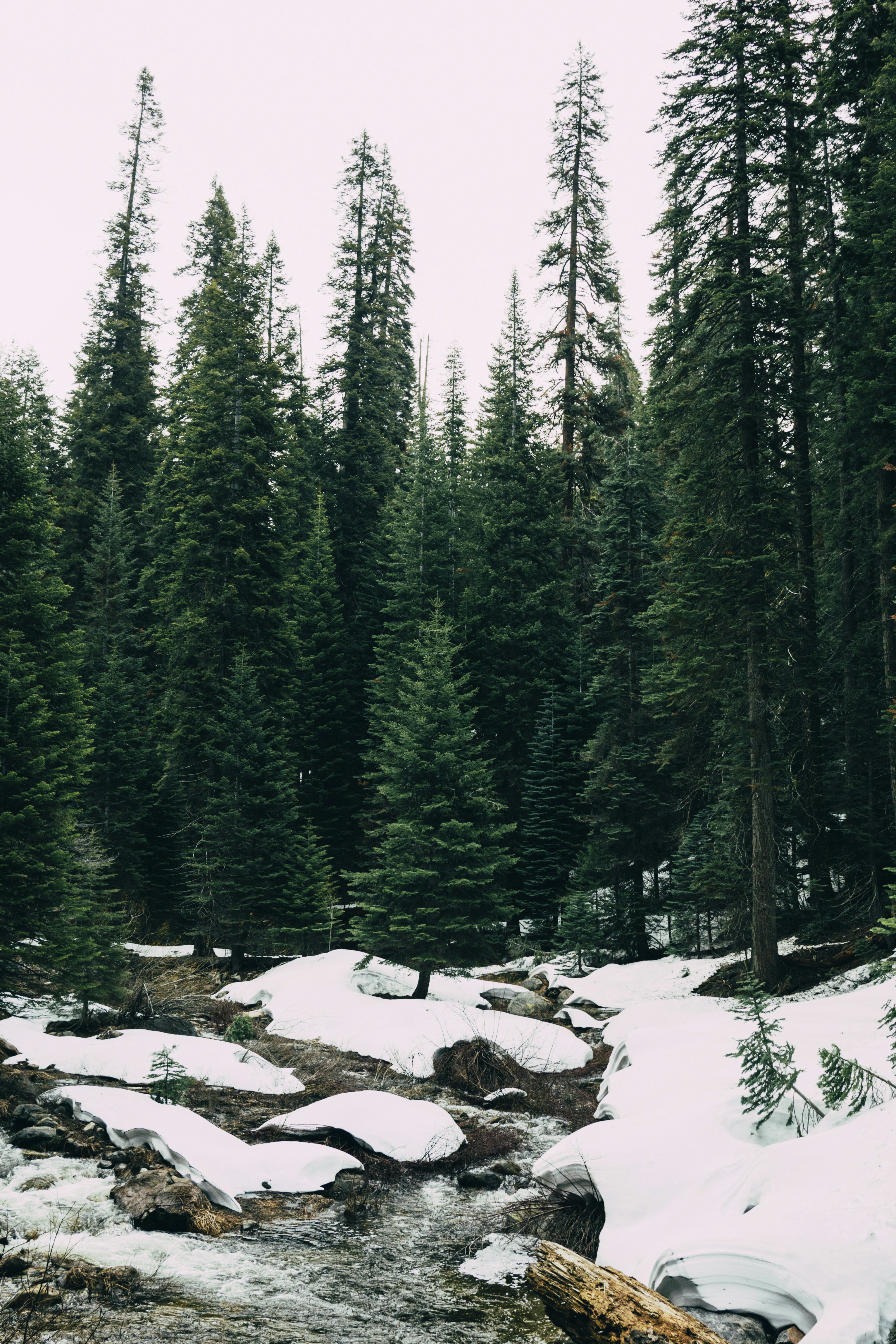 Free Unsplash photo from Susan Yin