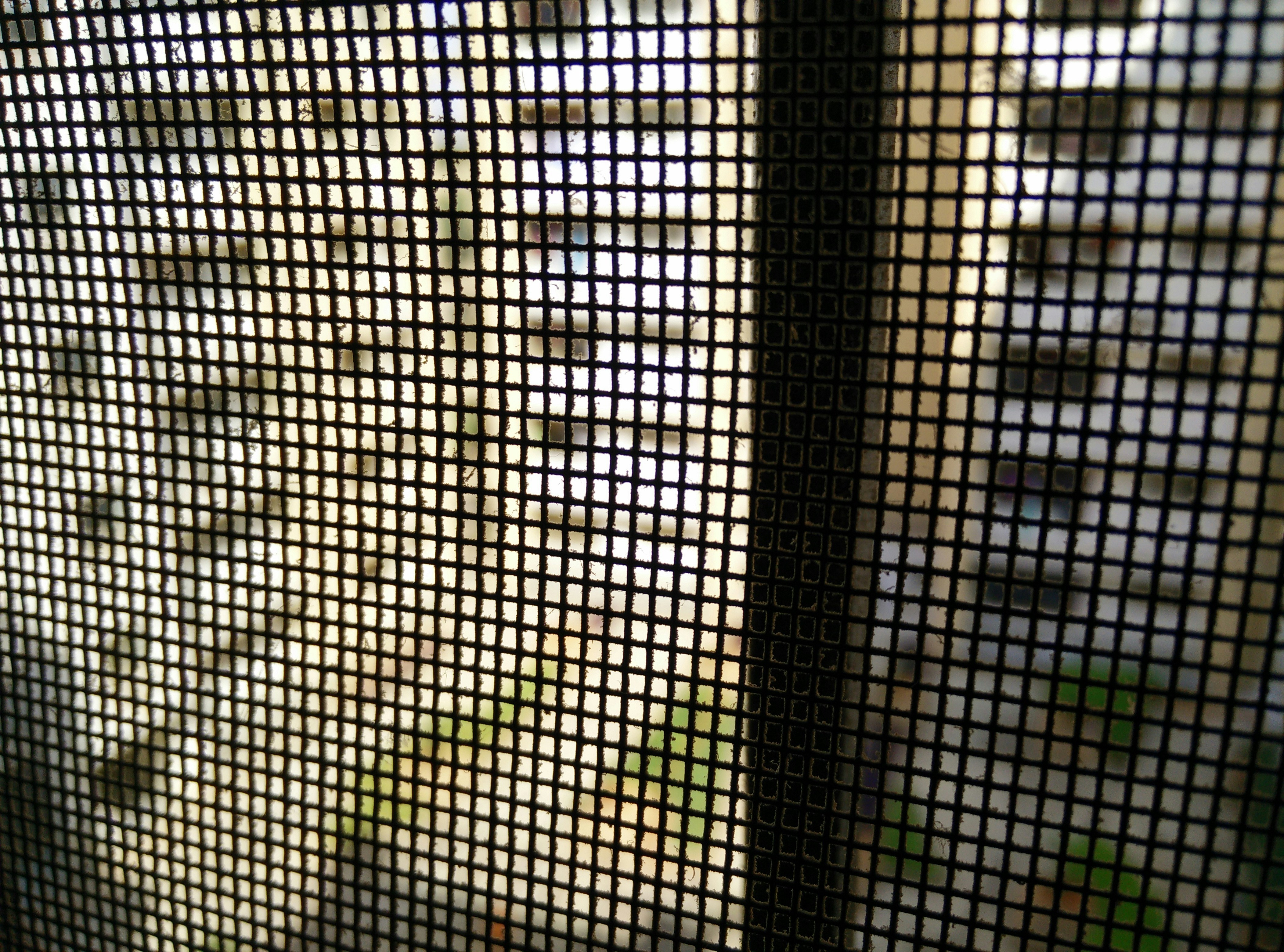 Free Unsplash photo from Amit Sengupta