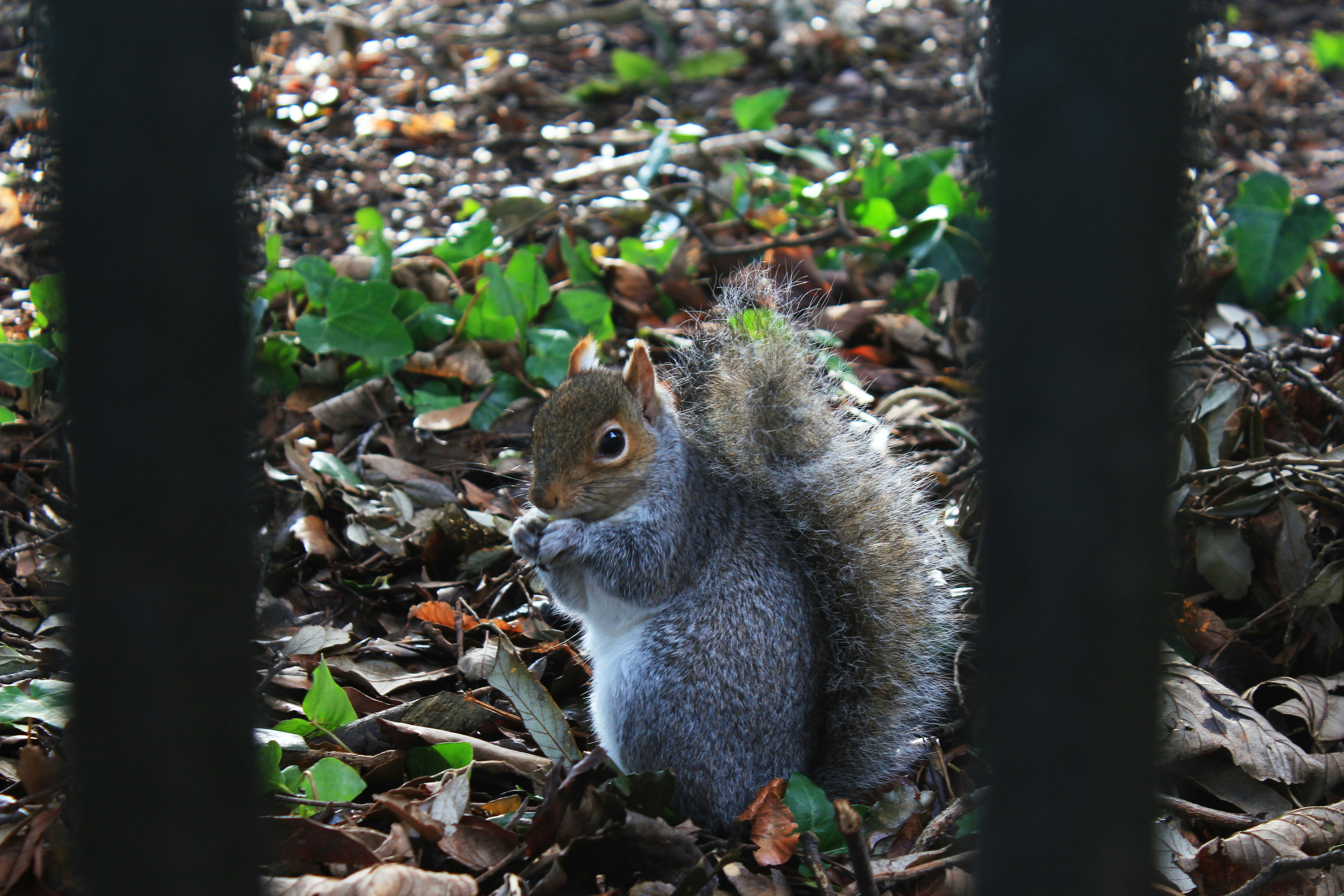 Free Unsplash photo from Mary Gibson