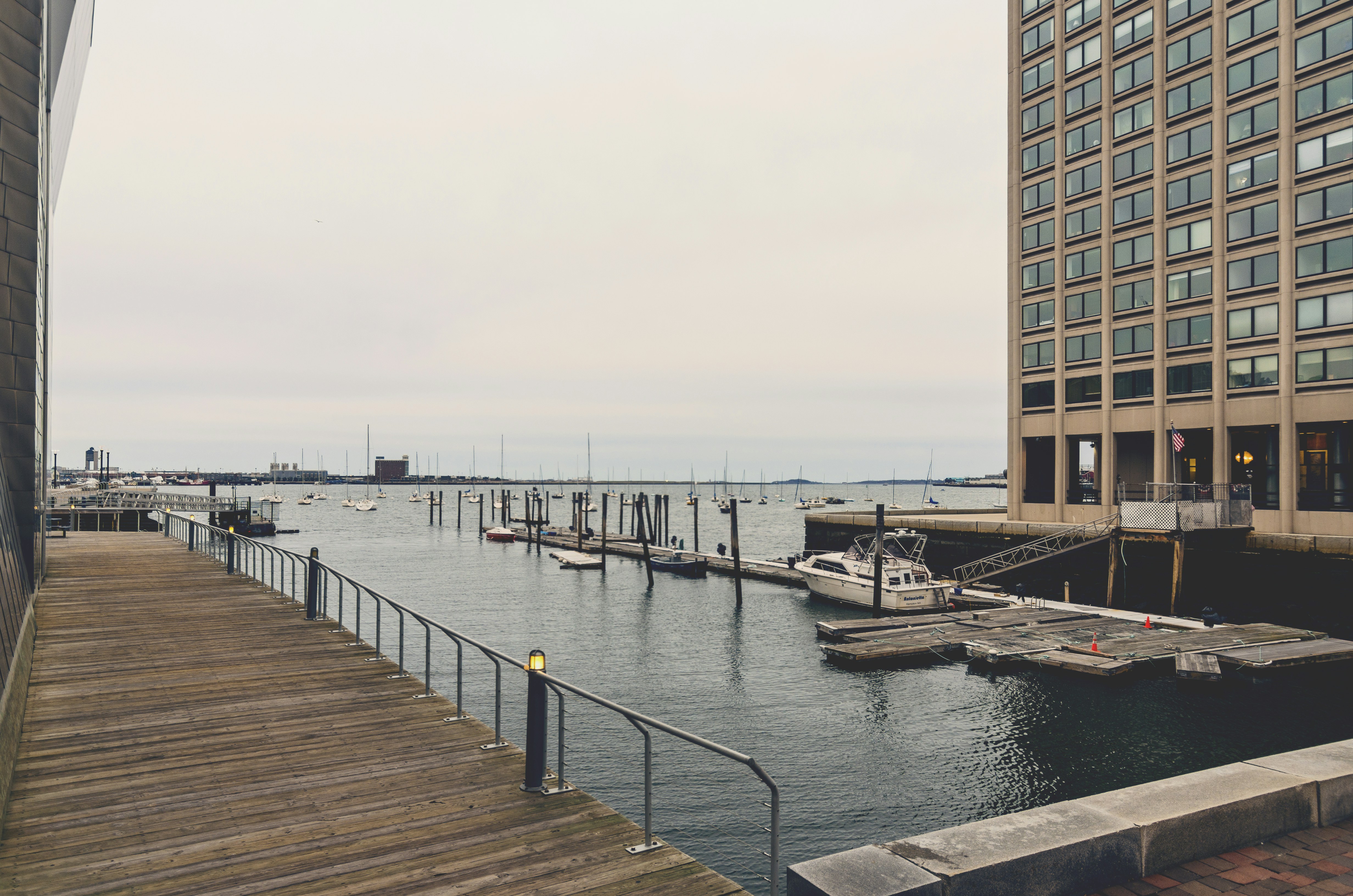 Free Unsplash photo from Qusai Akoud