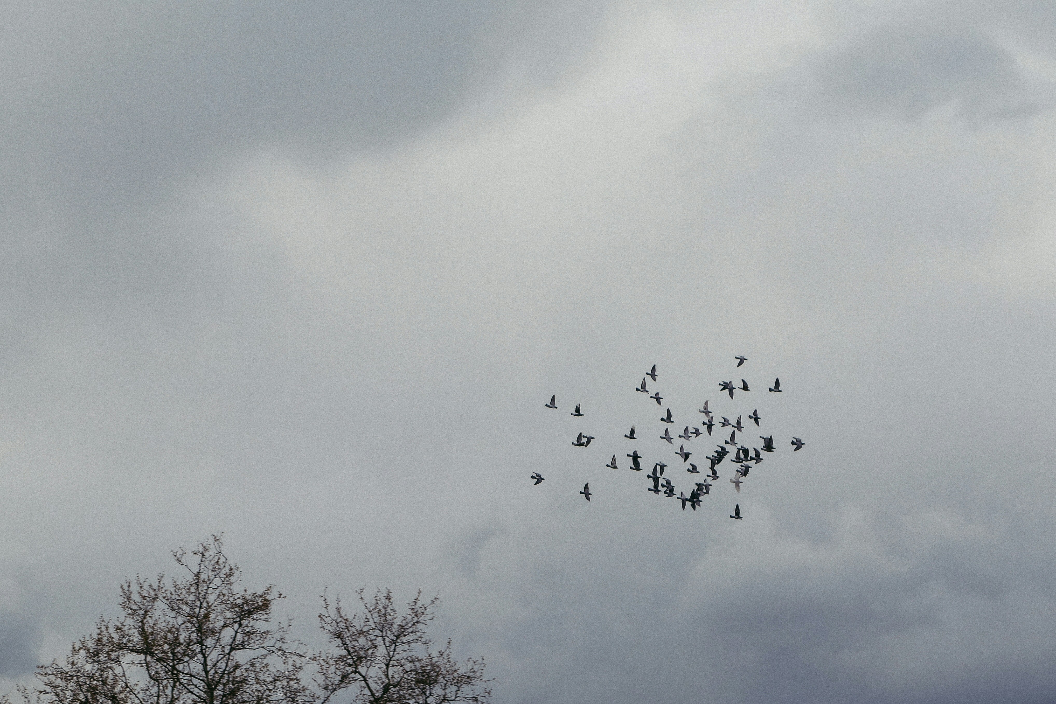 Free Unsplash photo from Magicphil Montes