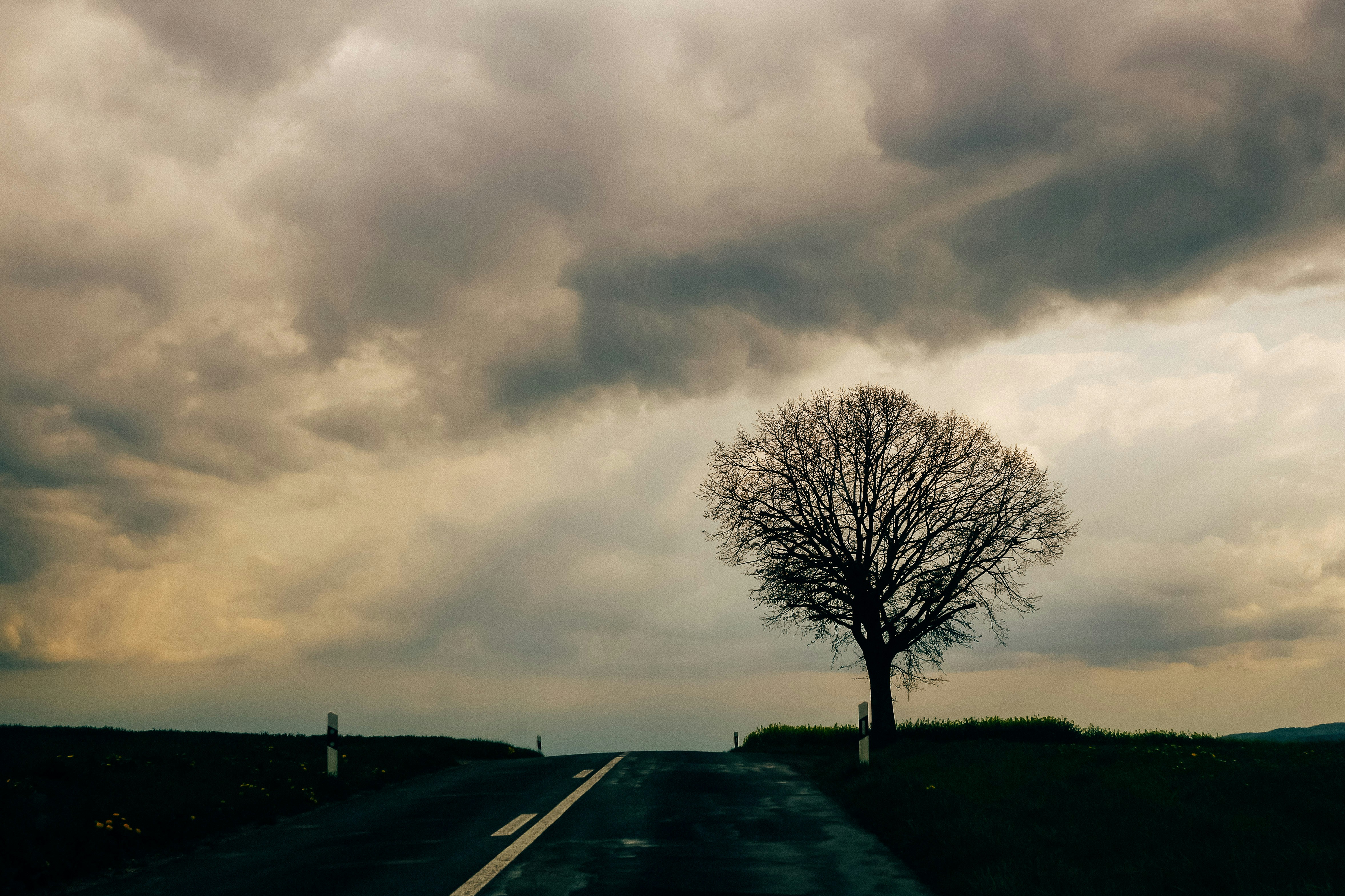 Free Unsplash photo from Magicphil Montes