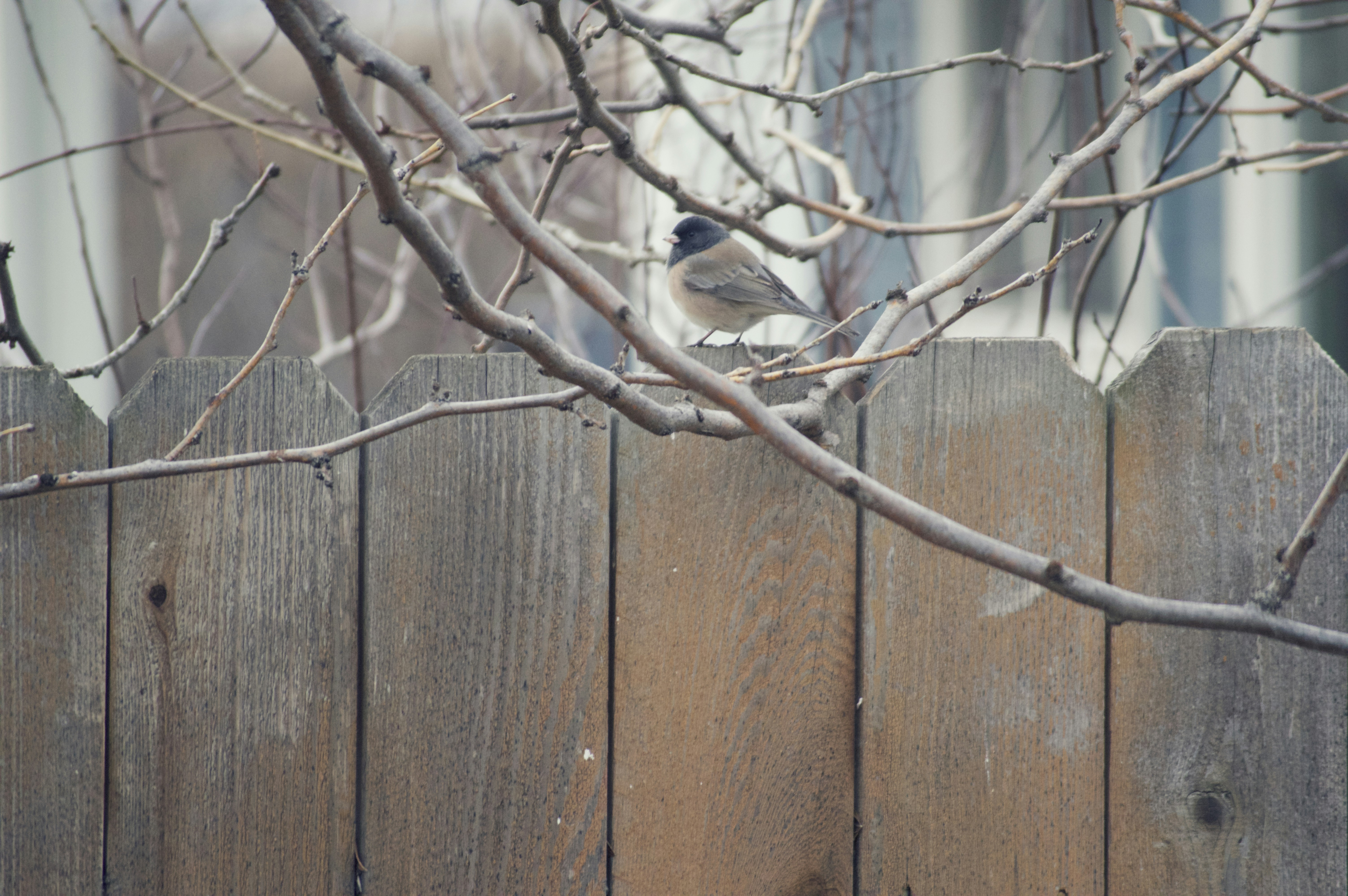 Free Unsplash photo from Alexander  L