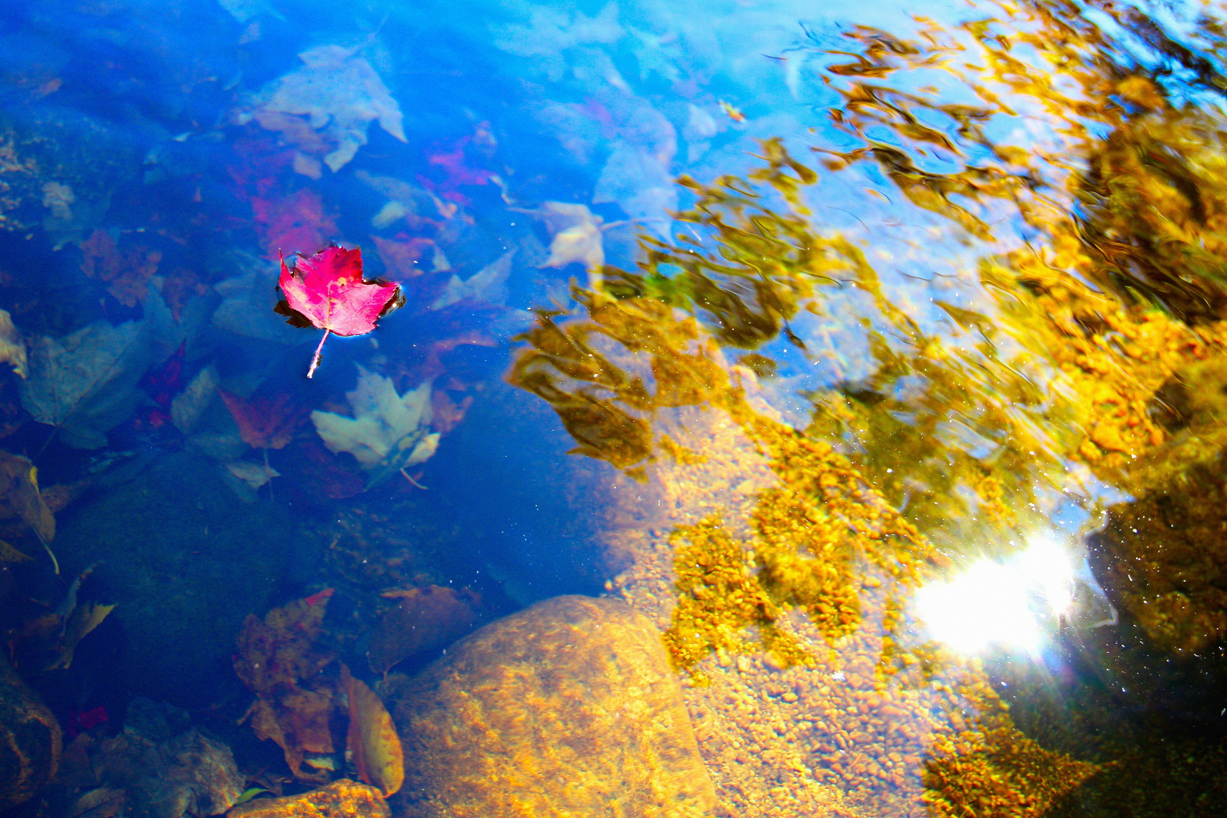 Free Unsplash photo from Crawford Ifland