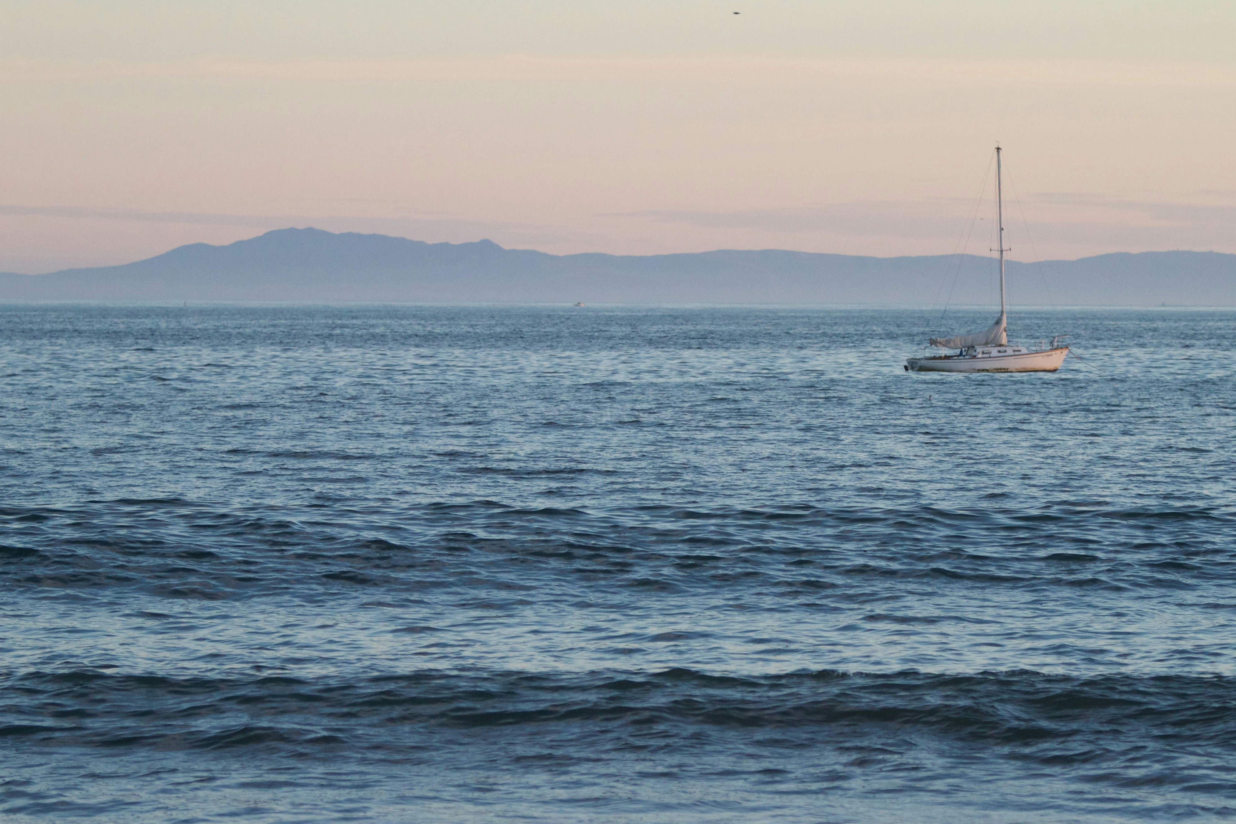 Free Unsplash photo from Crawford Ifland