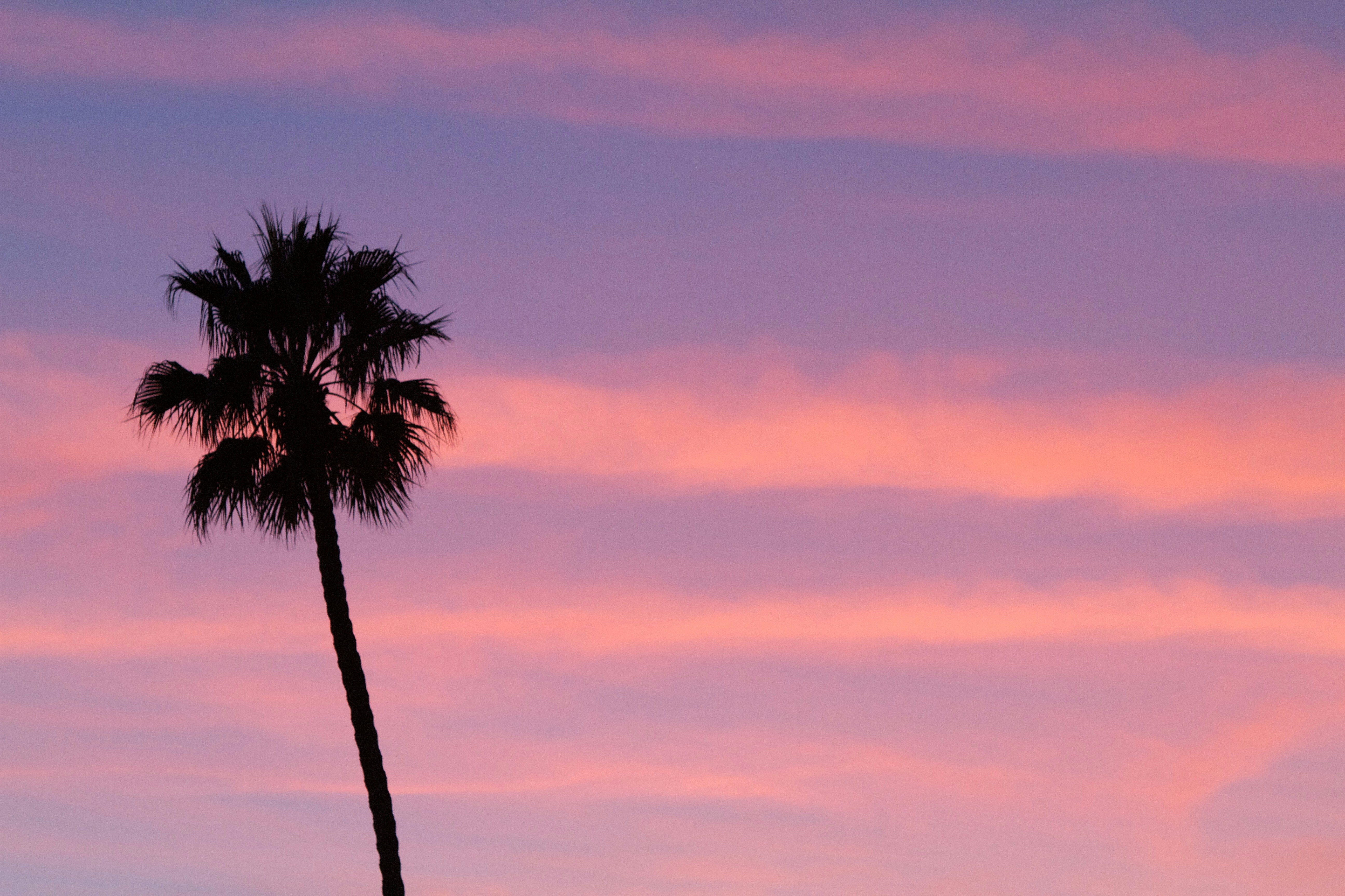 Free Unsplash photo from Crawford Ifland