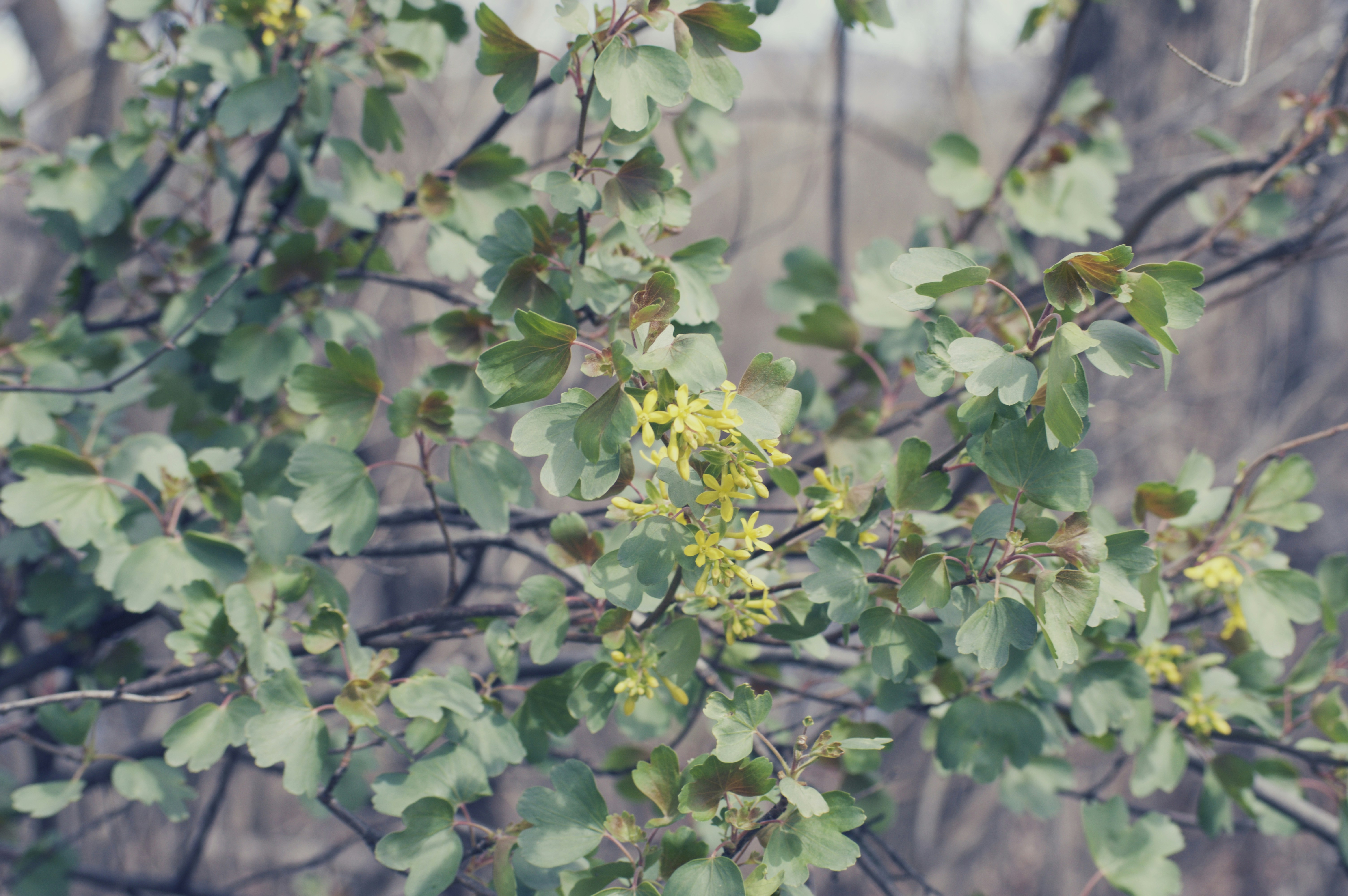 Free Unsplash photo from Alexander  L