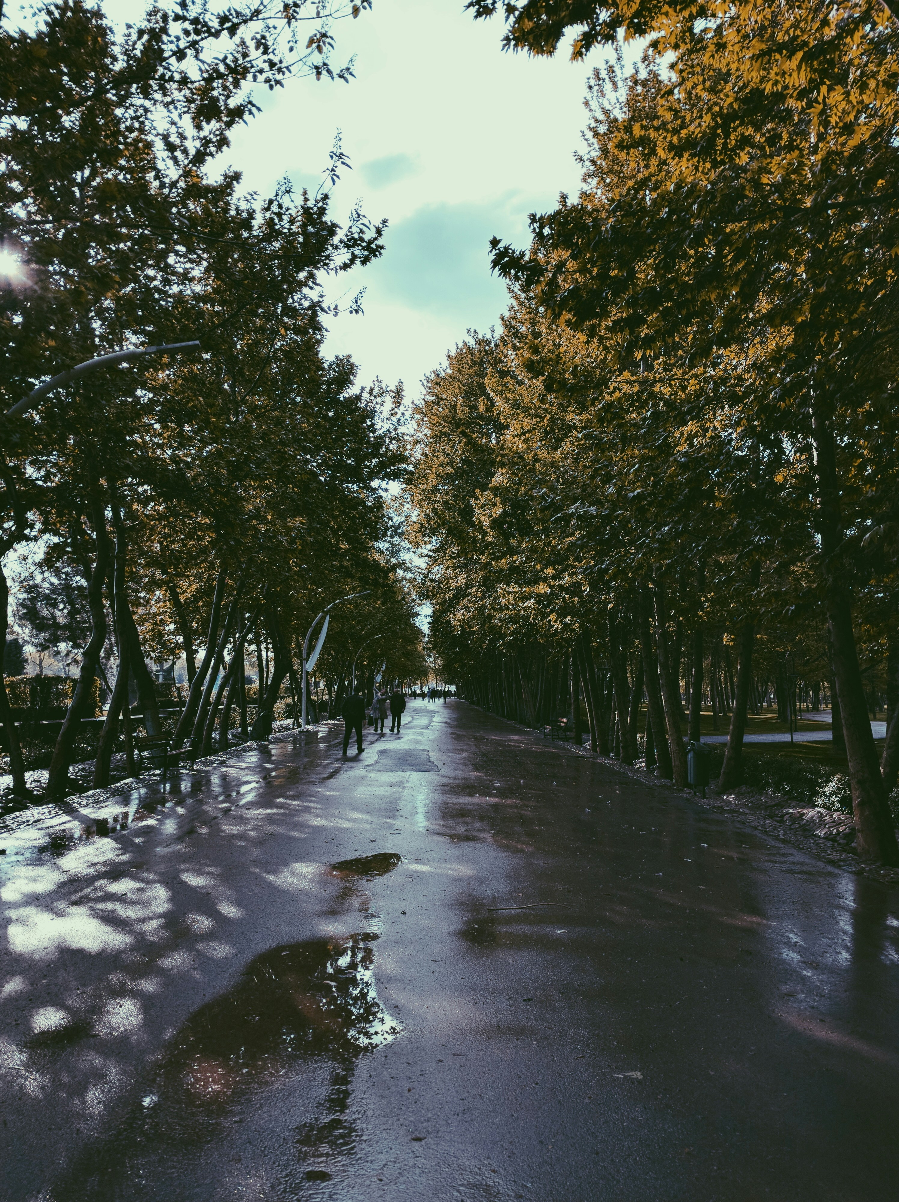 Free Unsplash photo from mohammad alizade