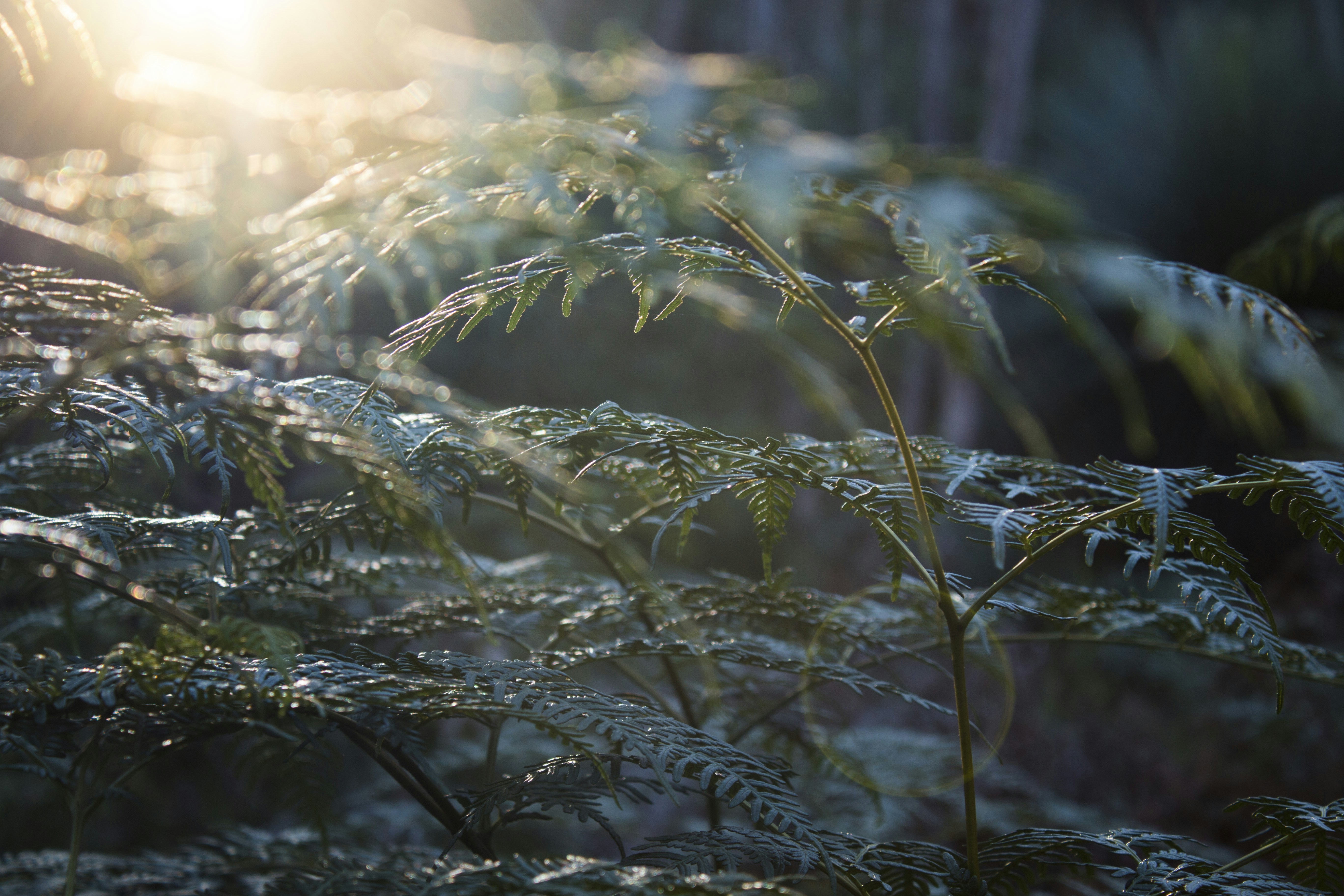 Free Unsplash photo from Dan Stark